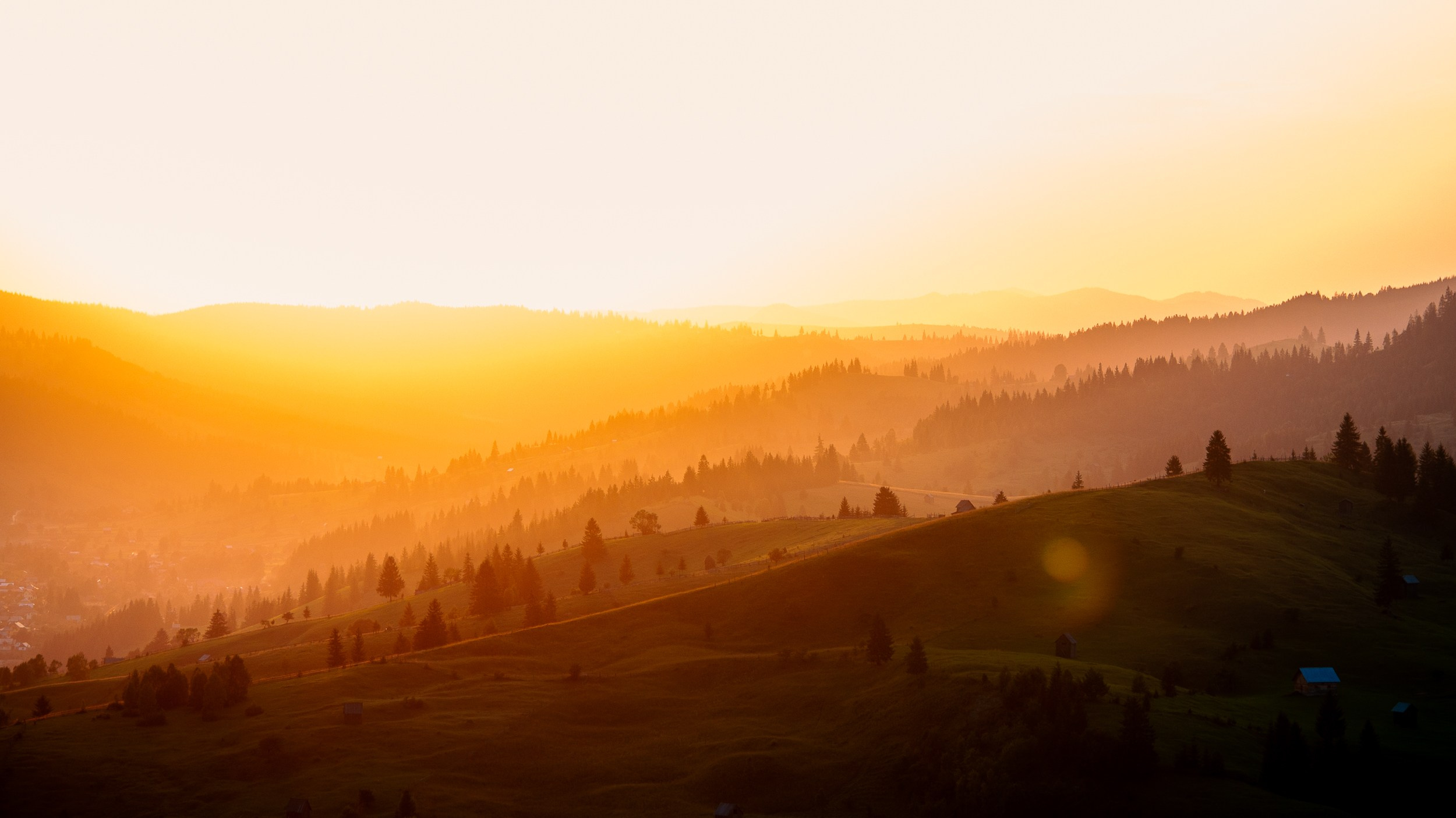 WK Sorin Onisor. Marius Ciocan