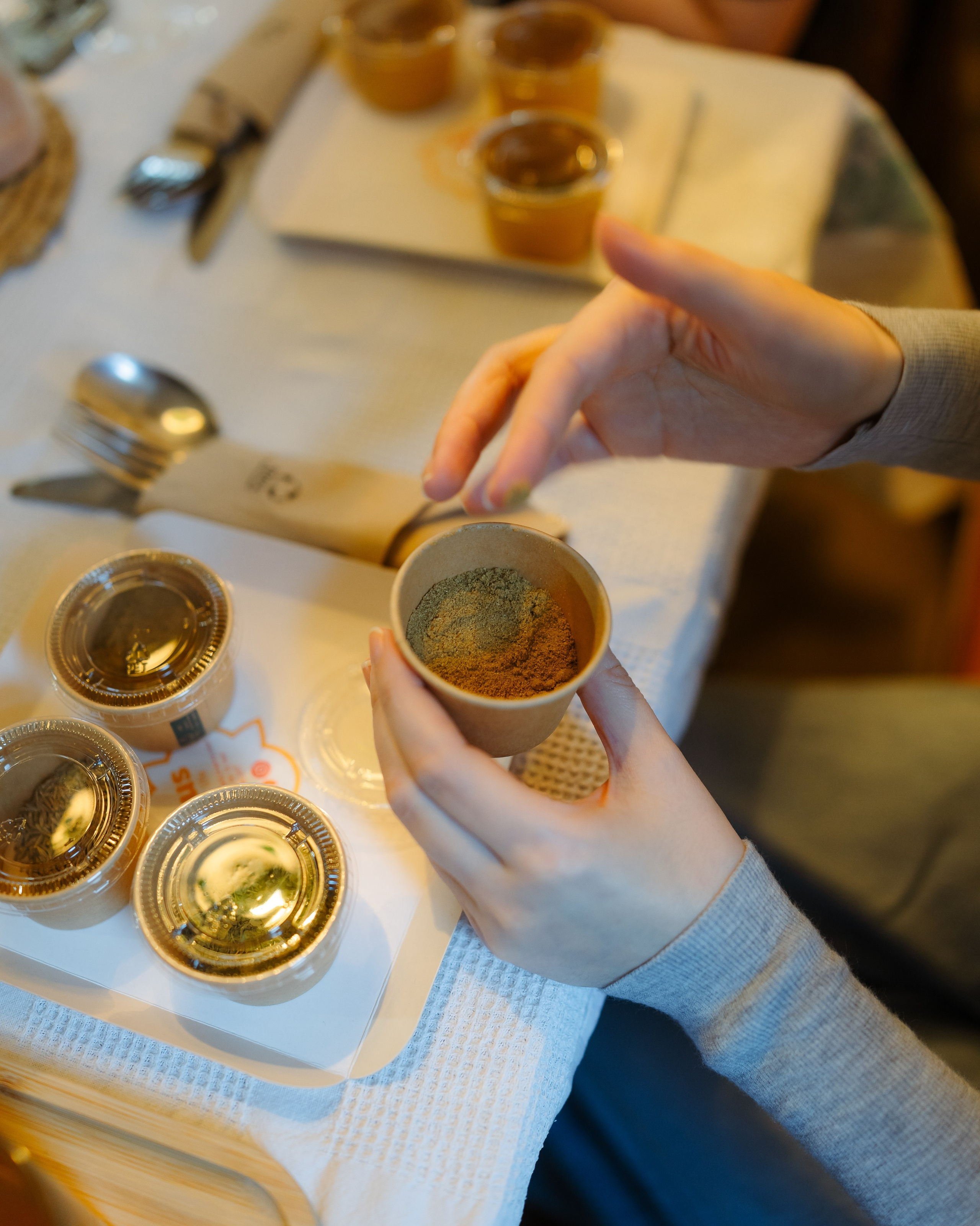 Indus at CUIB. Marius Ciocan