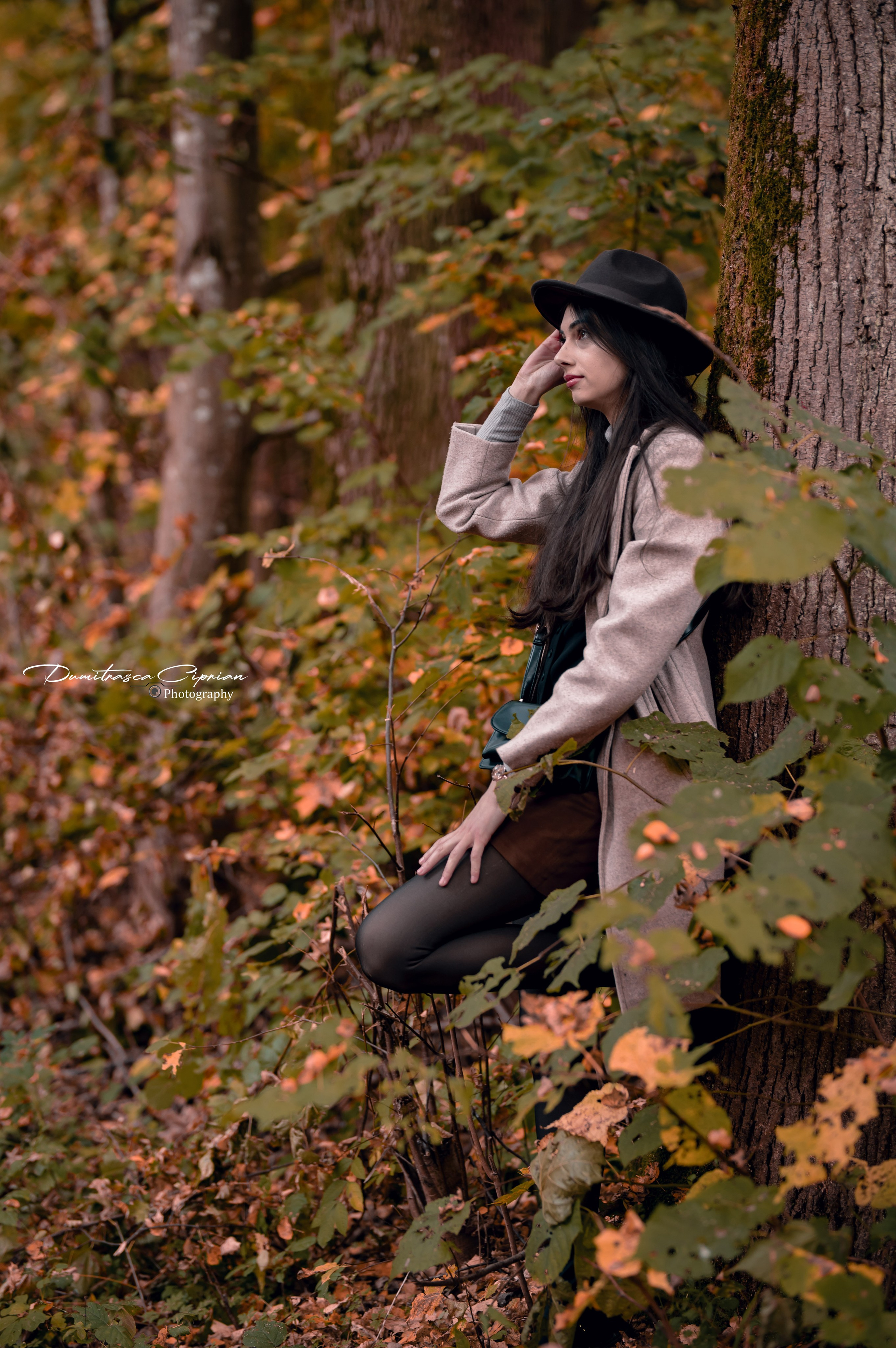 Golden Fall. Dumitrasca Ciprian Photography