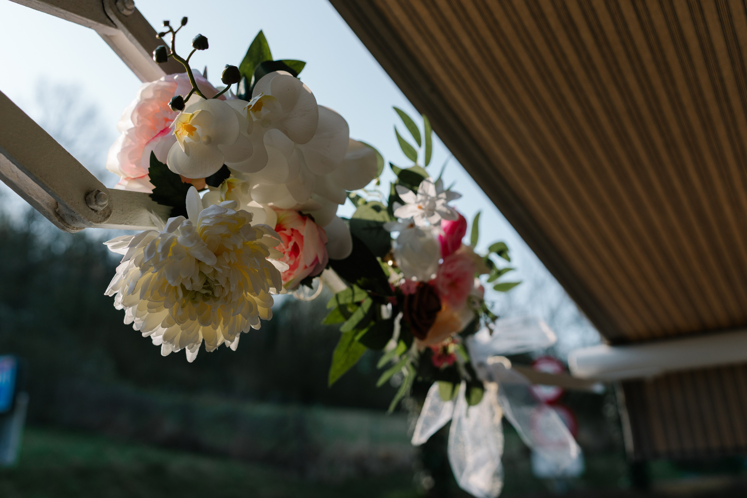 Y&C. Photographer Netherlands