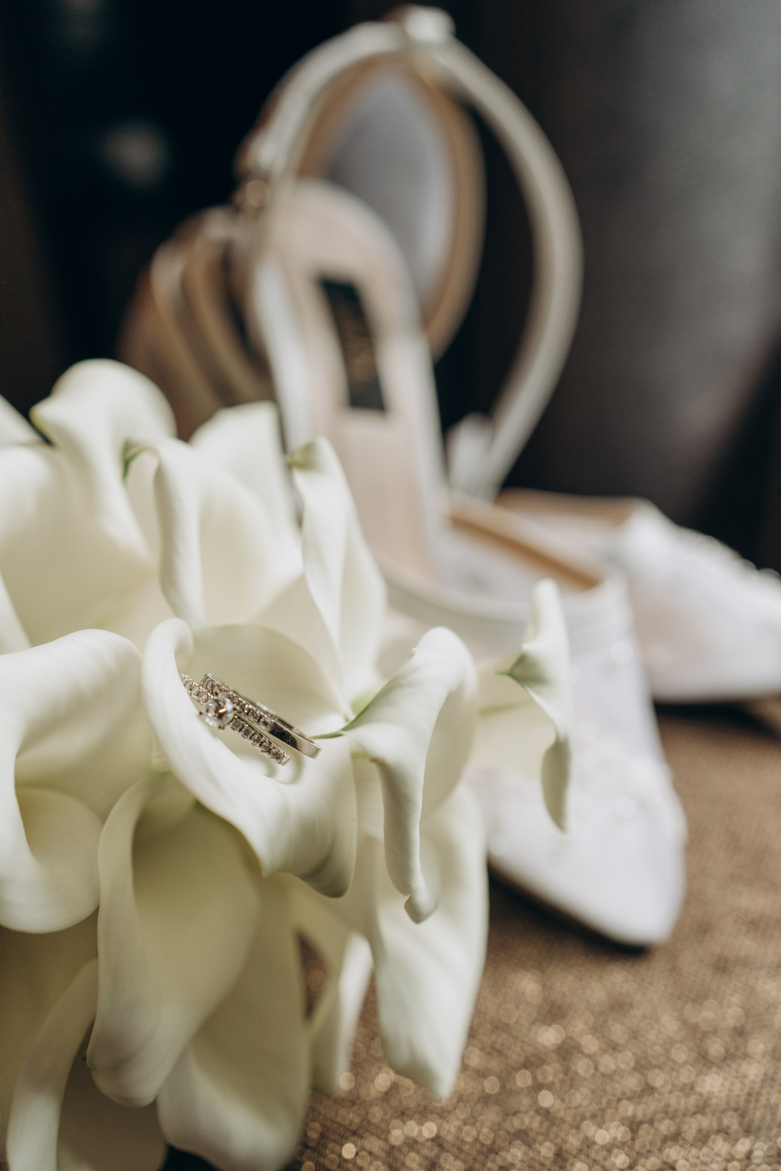 R&F. Photographer Netherlands