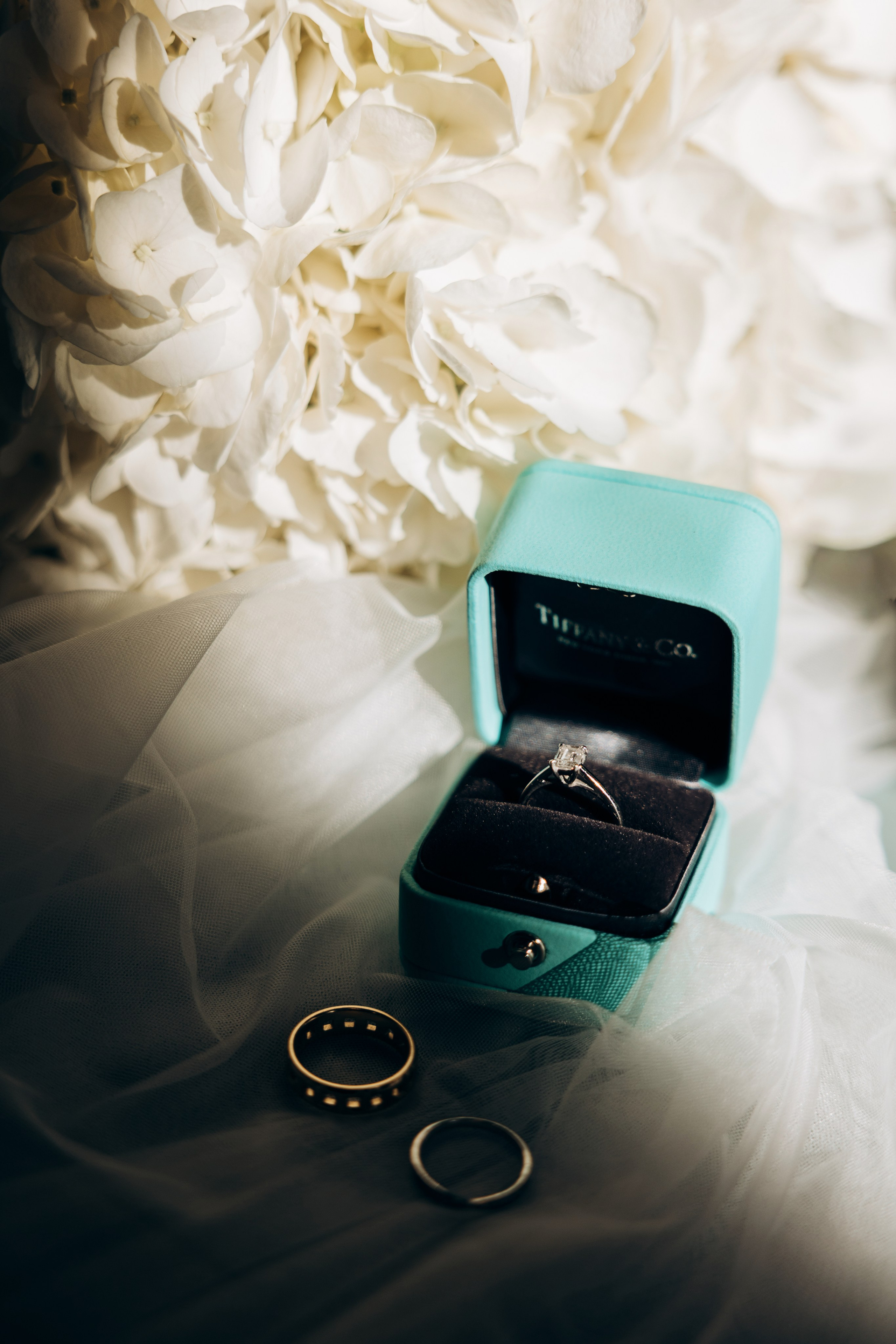 11/26. Wedding and family photographer San Diego