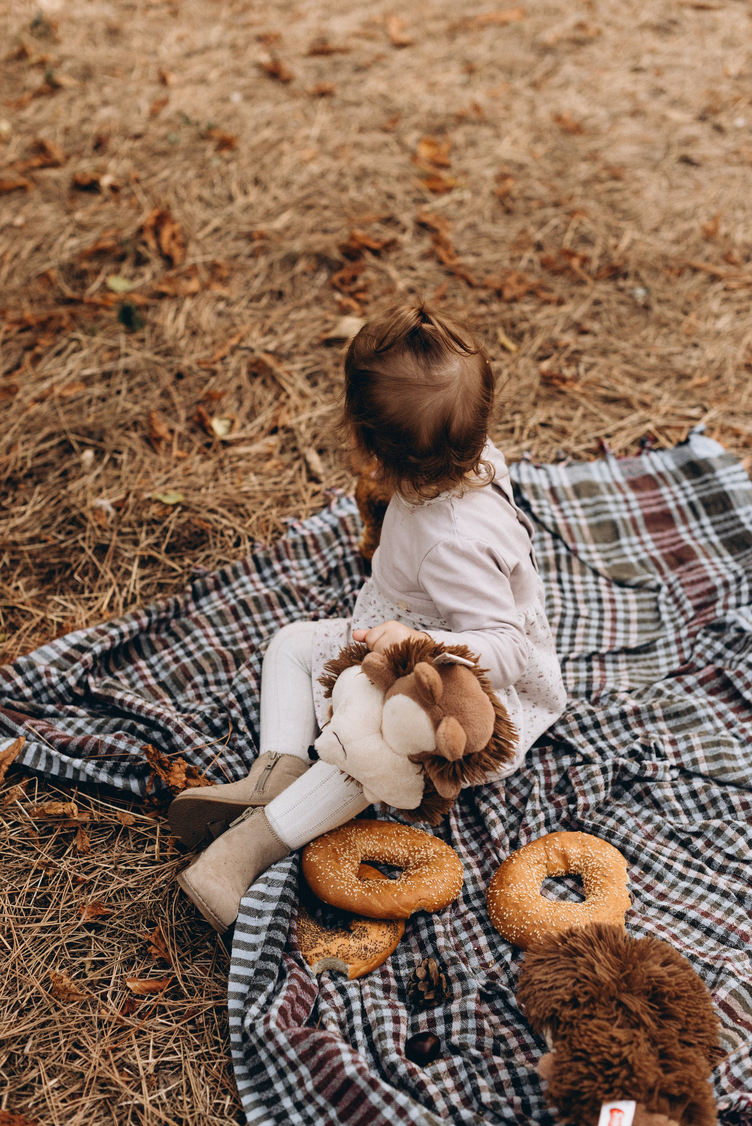 *. Wedding and family photographer San Diego