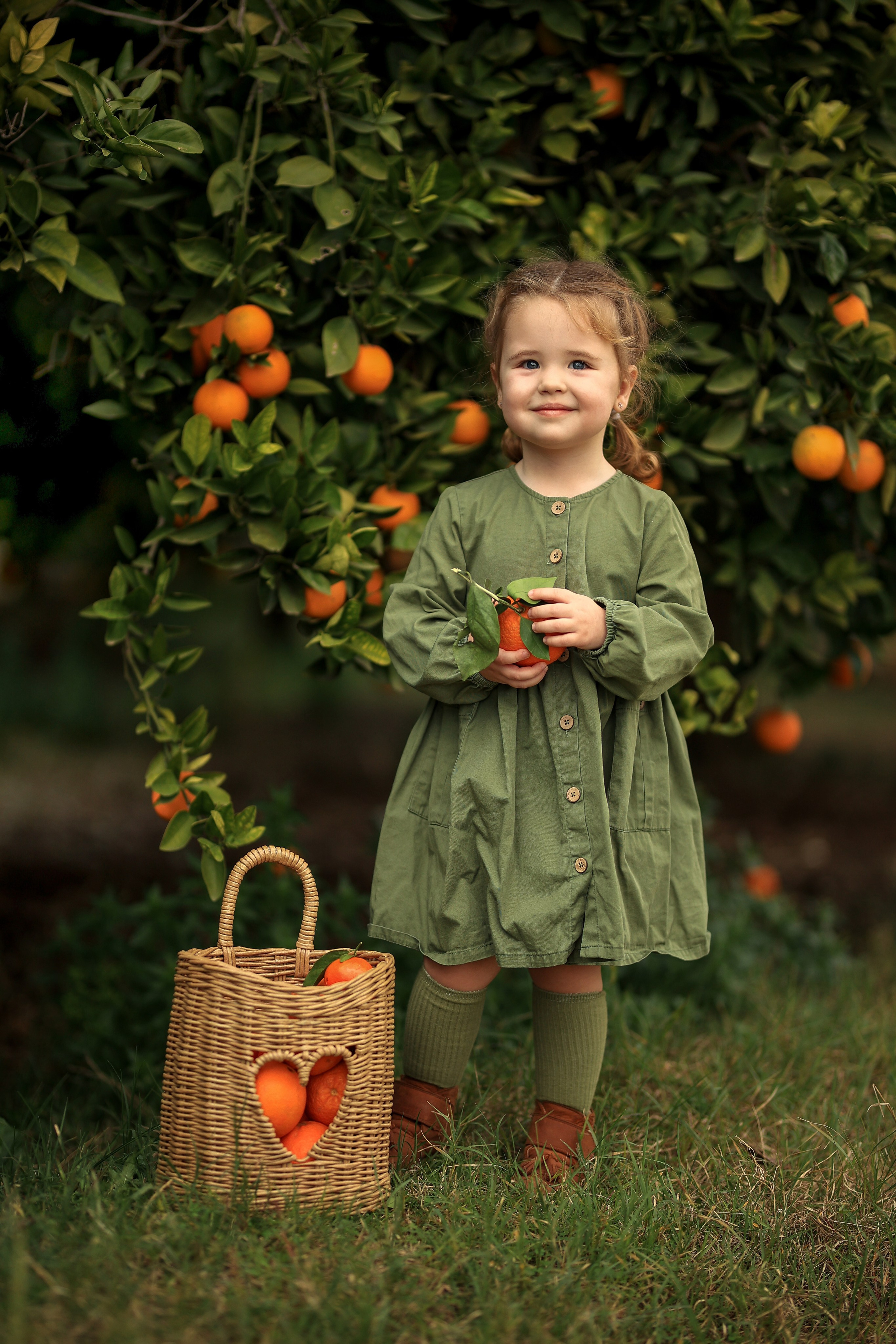 Photoshooting in orange garden. Photographer in Turkey, Antalya, Kemer, Belek, Side, Kas, Fethiye