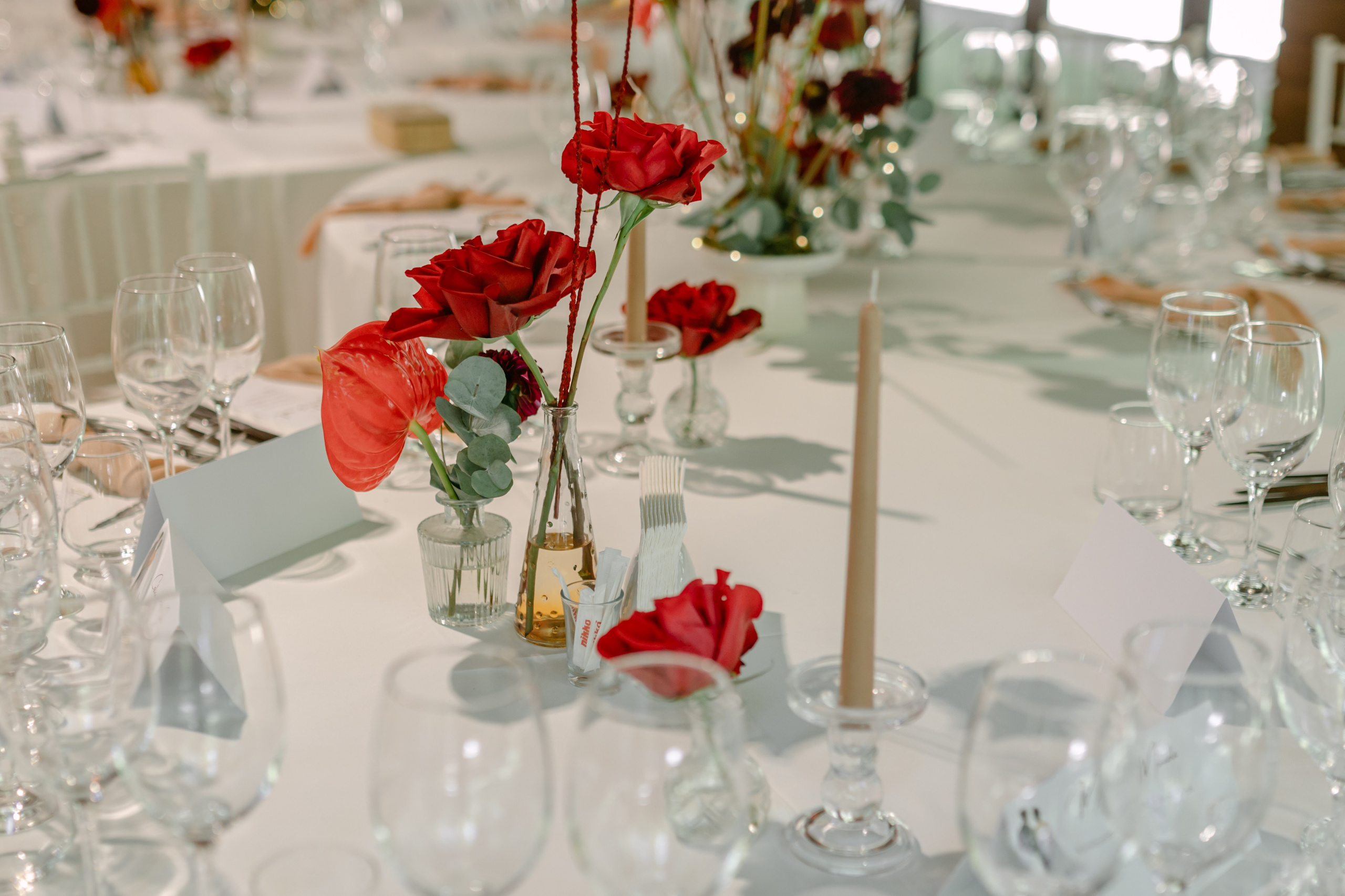 Corina | Alex. Gabrielacojocariu.com