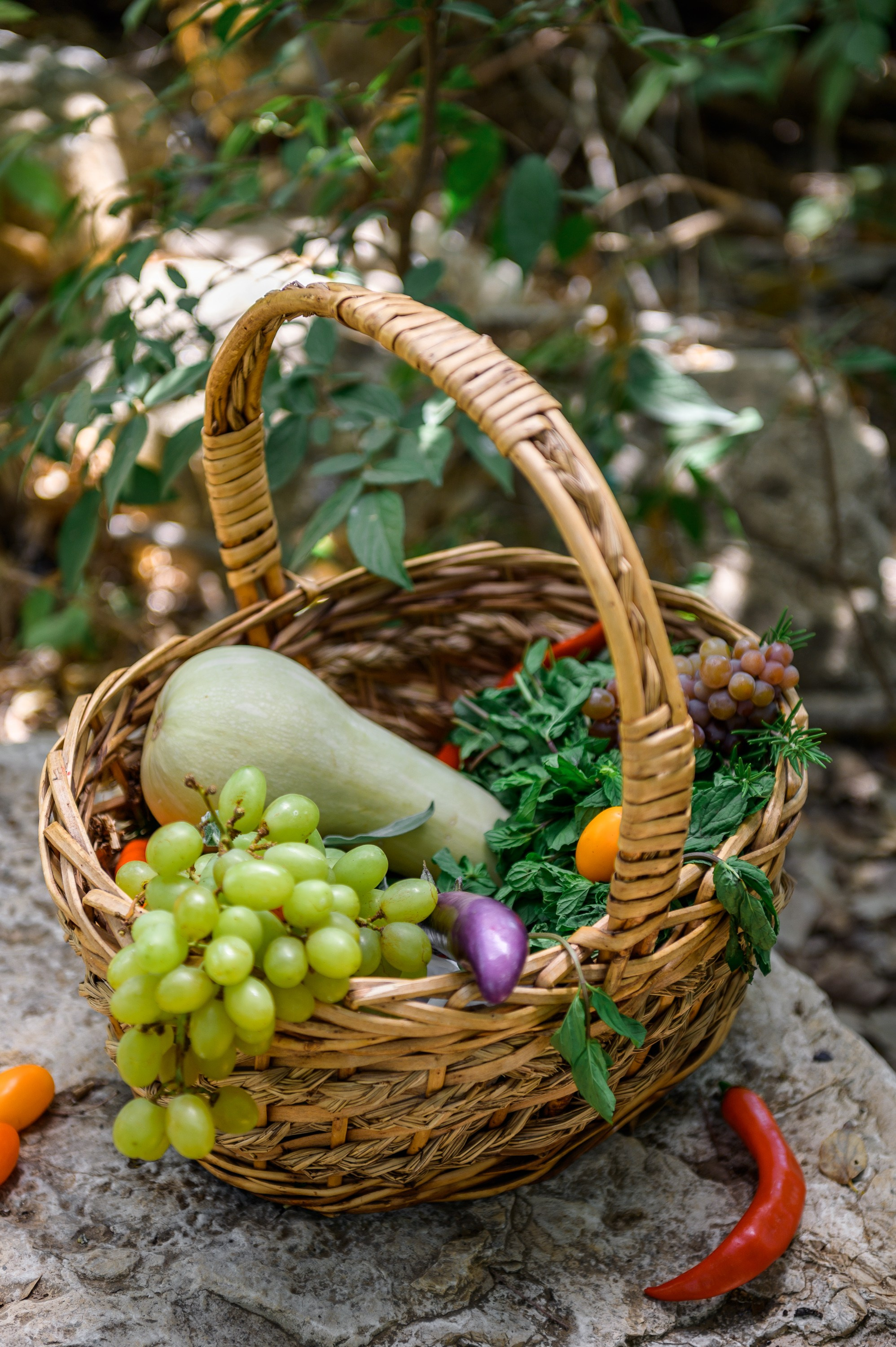 Food. Portrait photografer in Montenegro