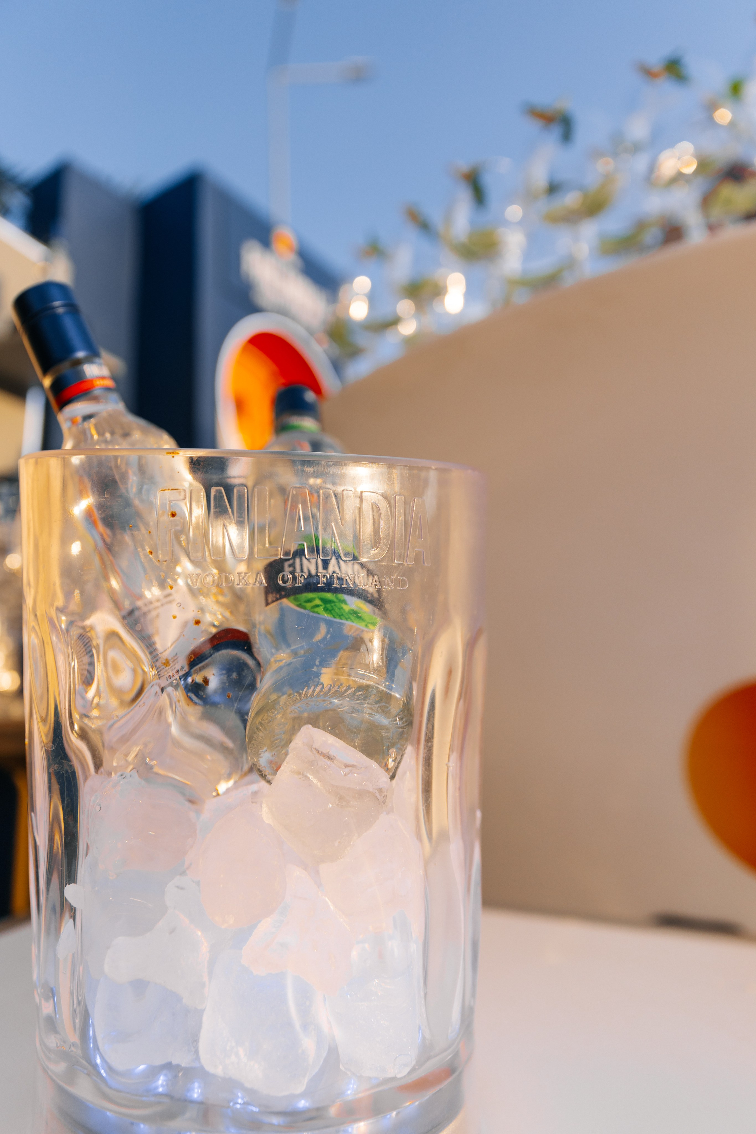 TOP SEXY — VIP MAGAZIN. Fulga Photographer