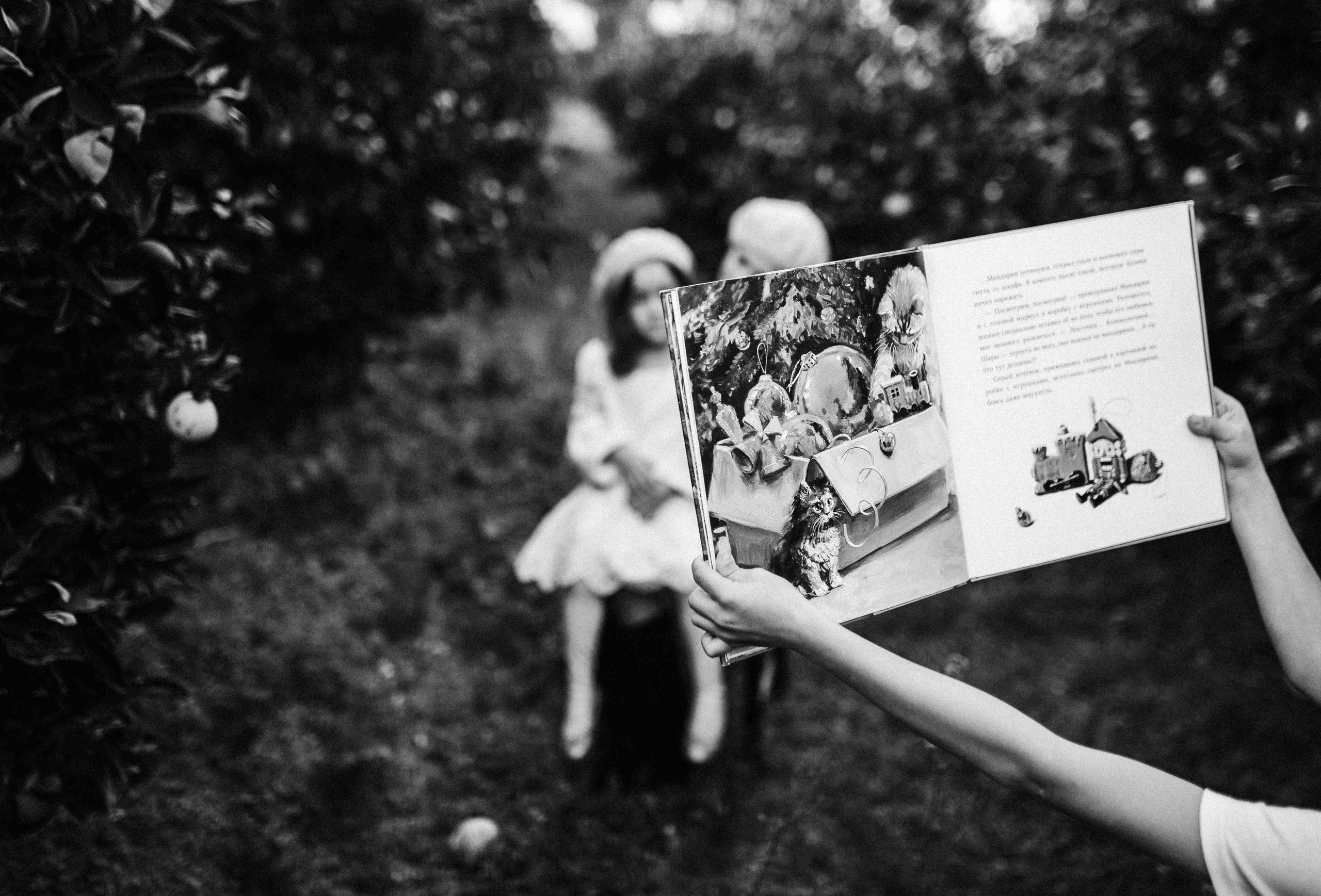 MANDARNINE GARDEN. Https://shi-photo.com/