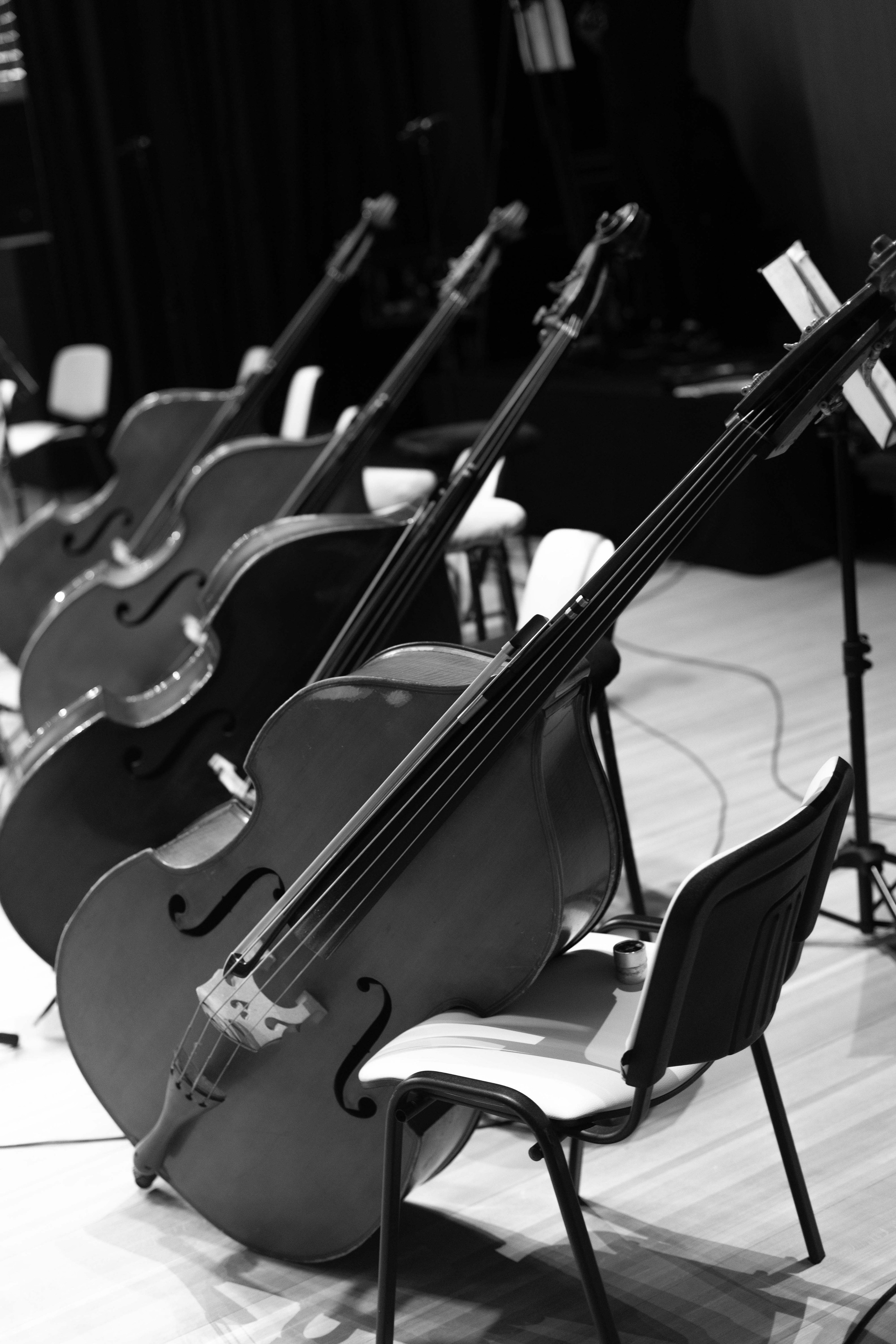 The Tchaikovsky Academic Grand Symphony Orchestra in Baku. Wedding&Event photographer Ismail Rzayev in Baku