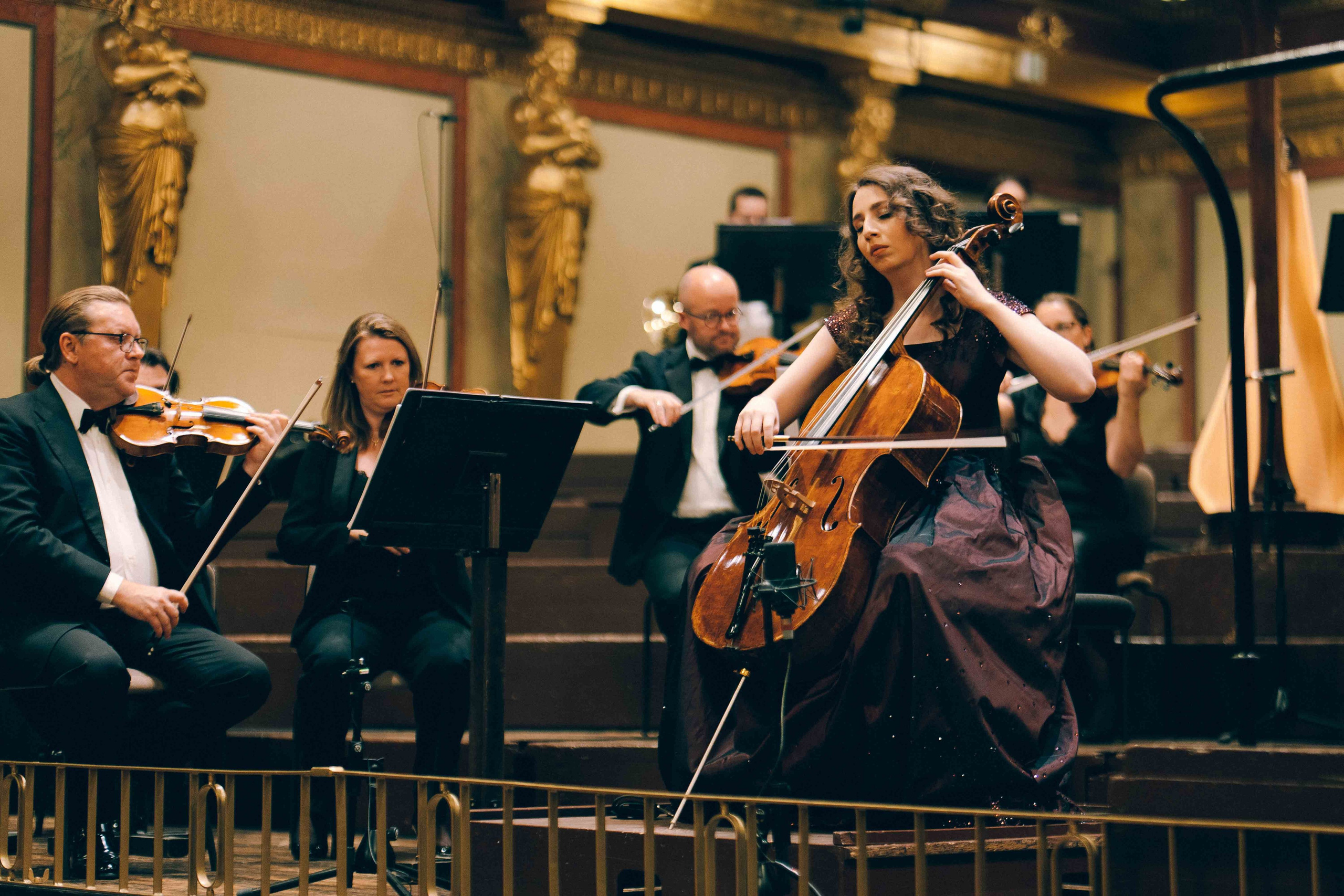 MUSIKVEREIN (VIENNA). Wedding&Event photographer Ismail Rzayev in Baku