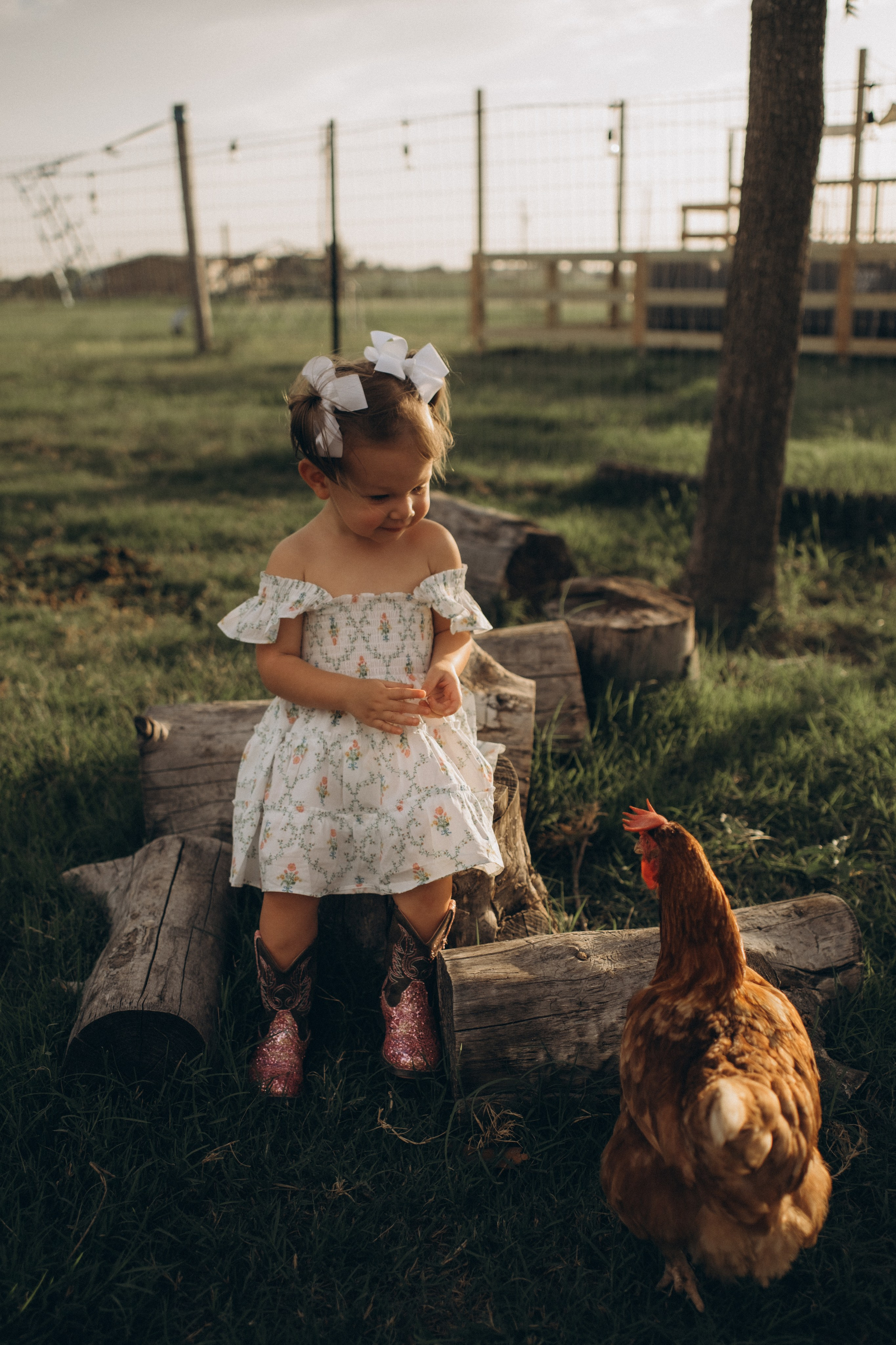 Summer Moments. Lens Captures Life