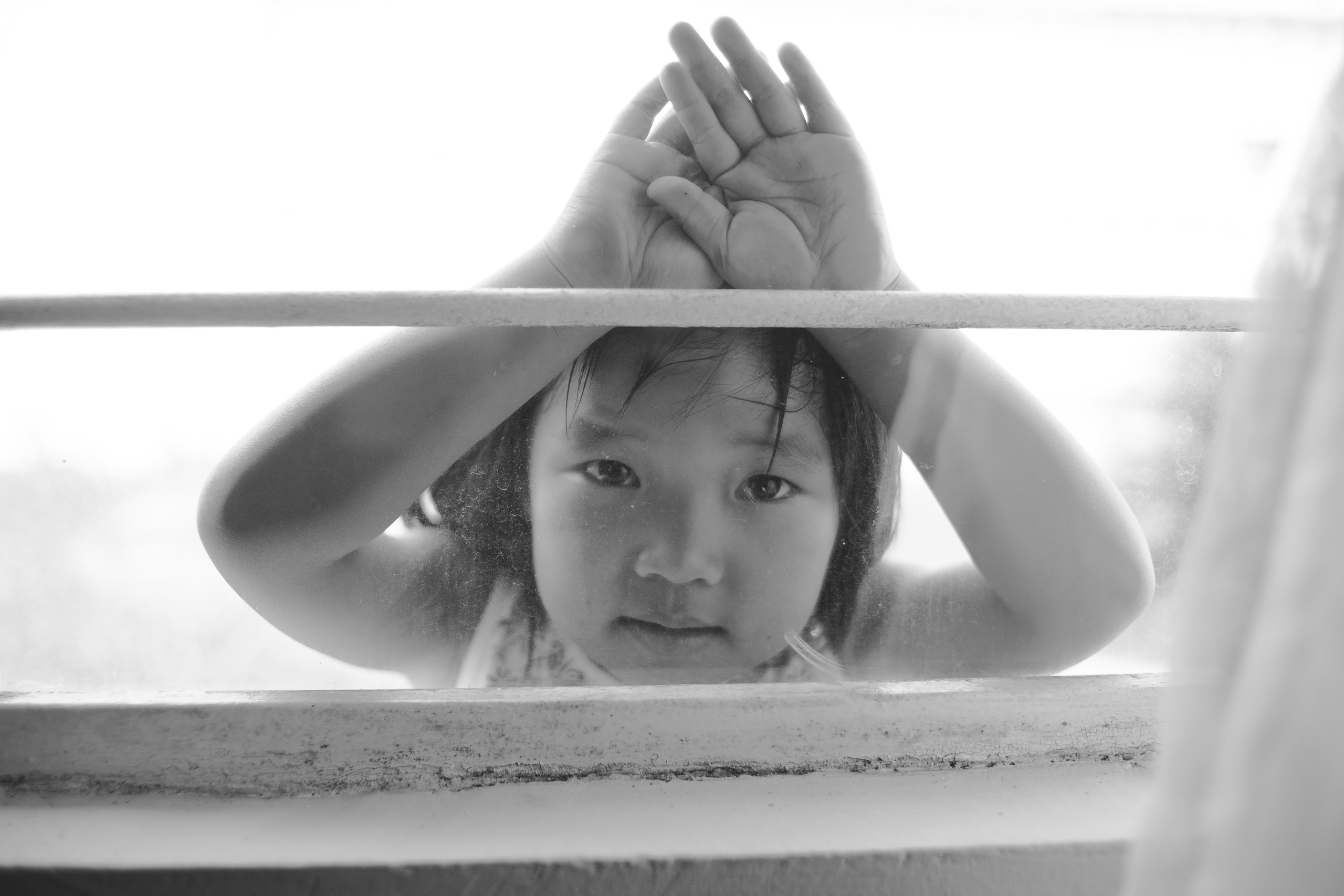 Documental Família Shimizu