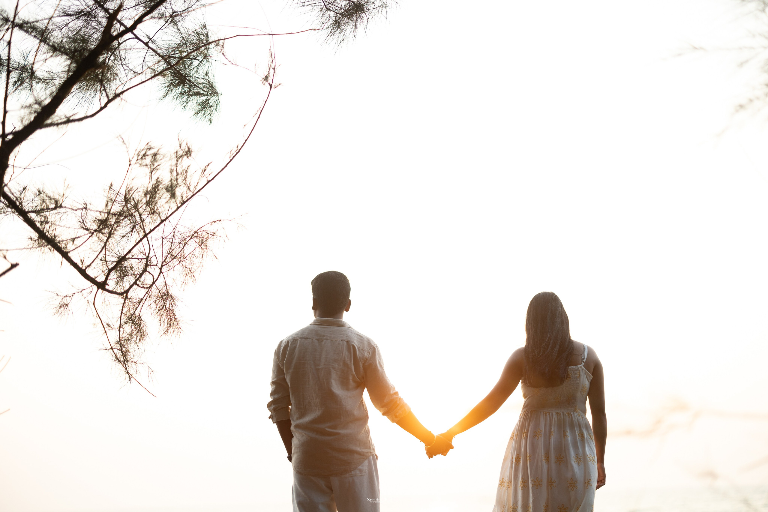 Raghav & Apoorva Pre-wedding