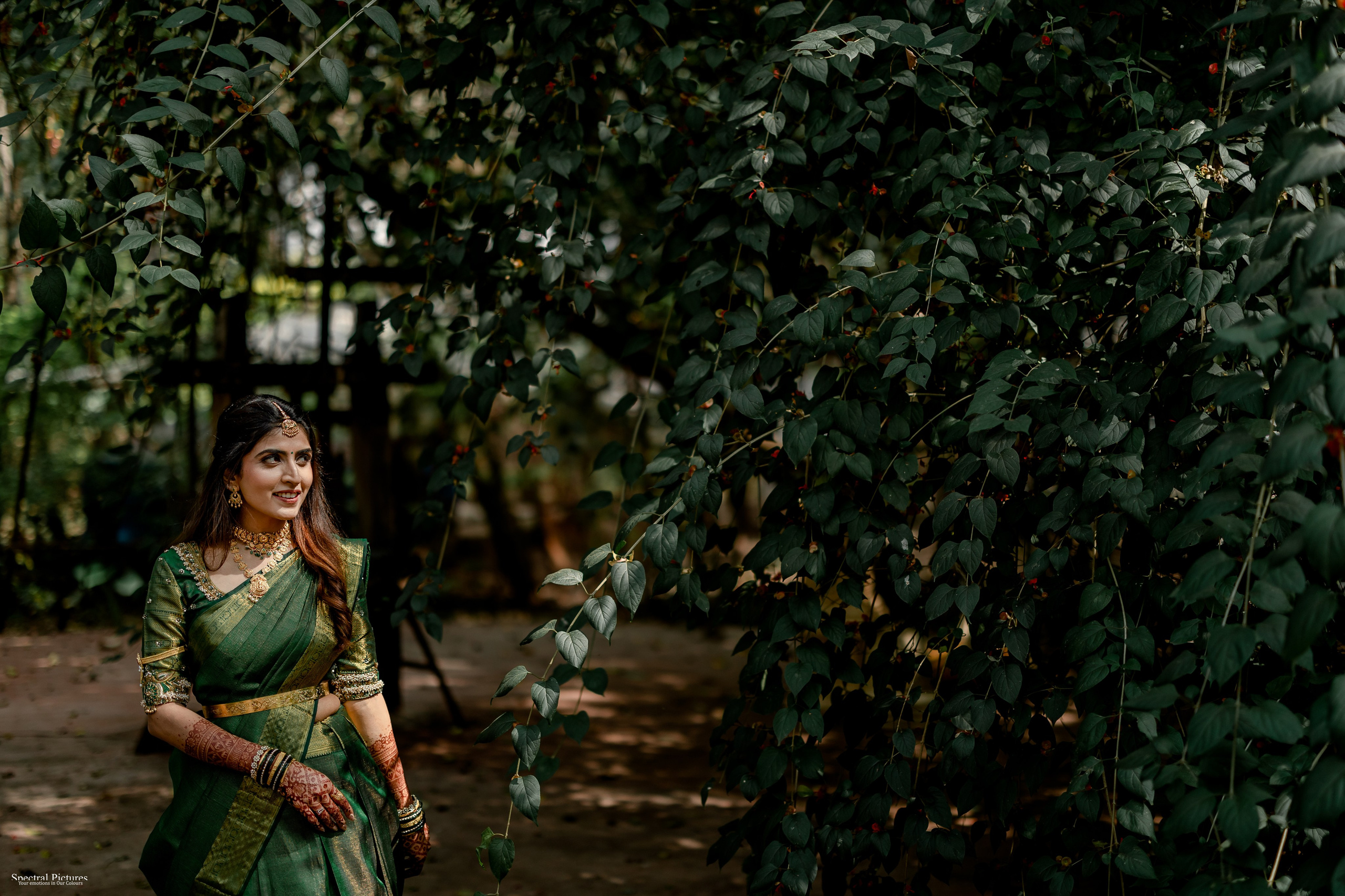 “Shivani & Ashish | A Love Meant to Be”