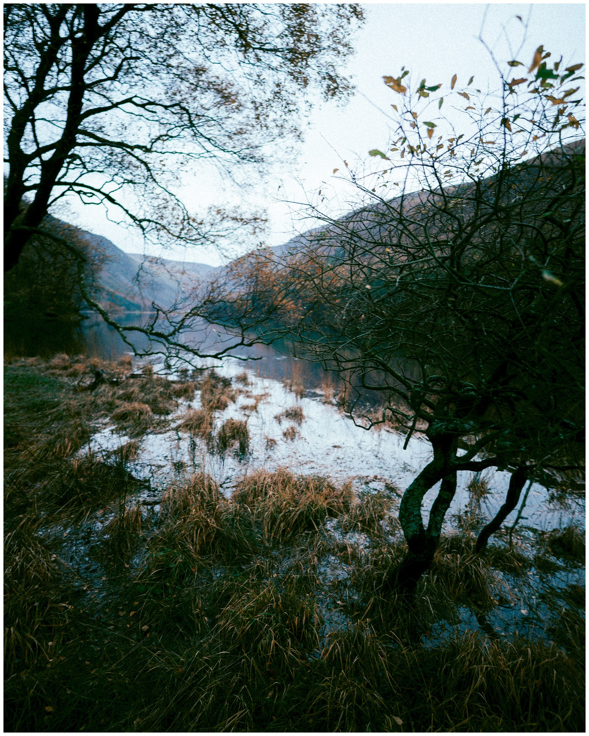 IRELAND. Inna Mendelson — Photographer