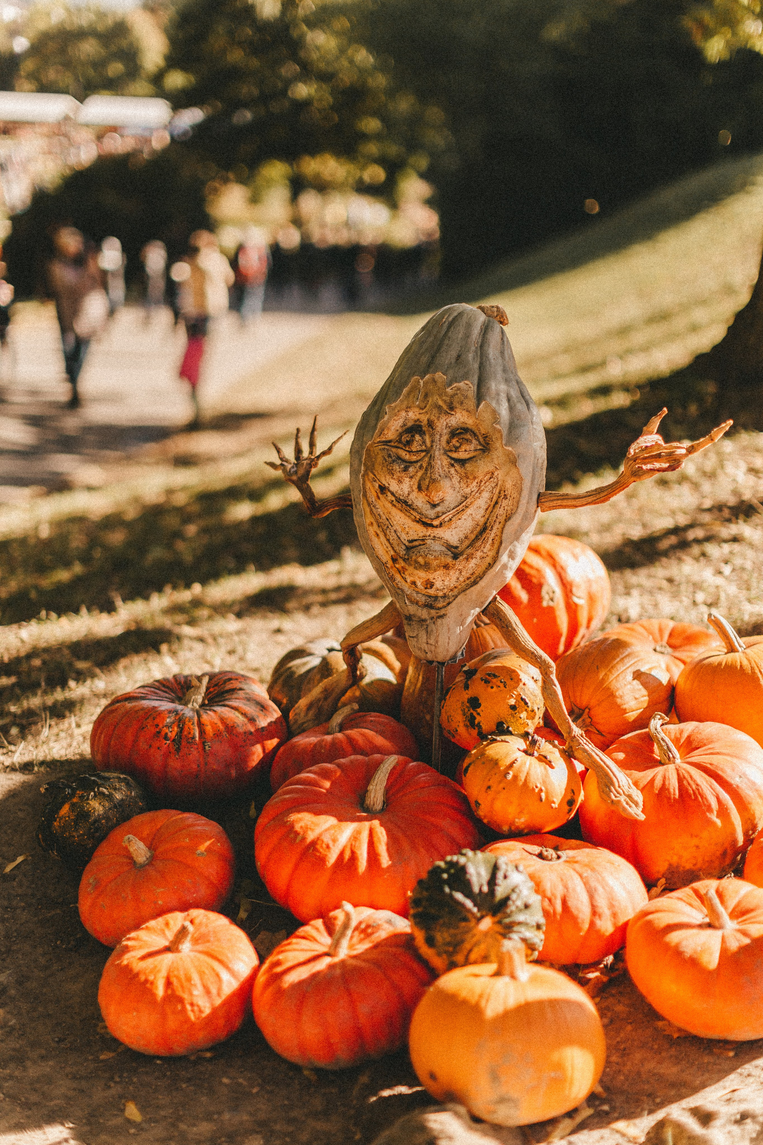 Фестиваль тыкв в Людвигсбурге. Фотограф в Германии — Мария Чистякова