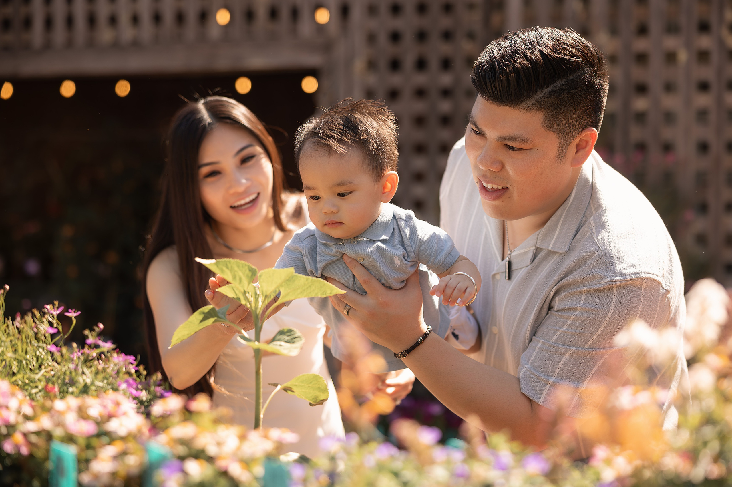 FAMILY & MATERNITY PHOTOGRAPHY. Couples & Families photographer in Bay Area, San Jose, California