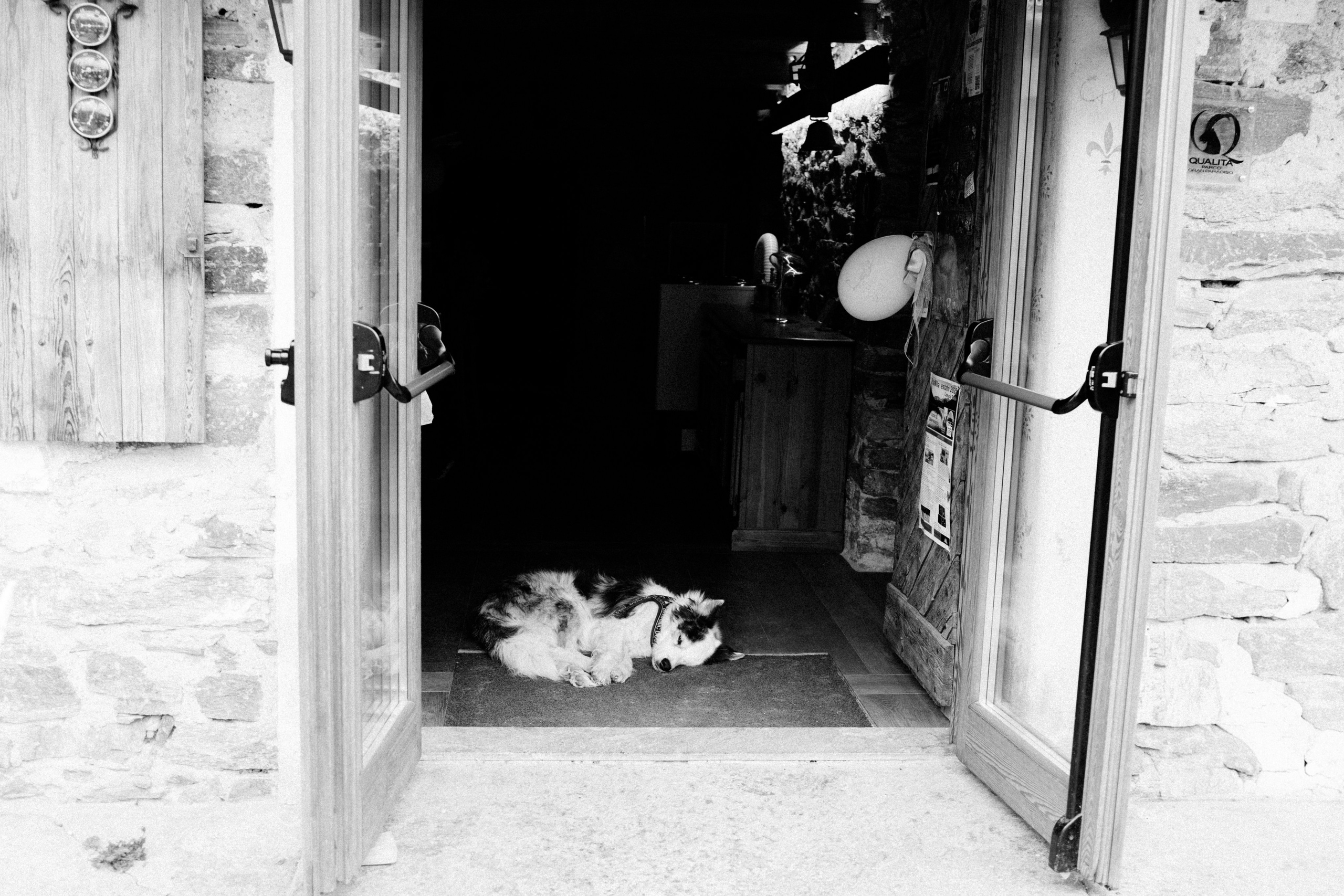 Anastasiya & Emanuele | Italian Alps. Liza Bizzaro — Italy Wedding, Love Story & Portrait Photographer in Milan, Turin, Piedmont and Across Italy