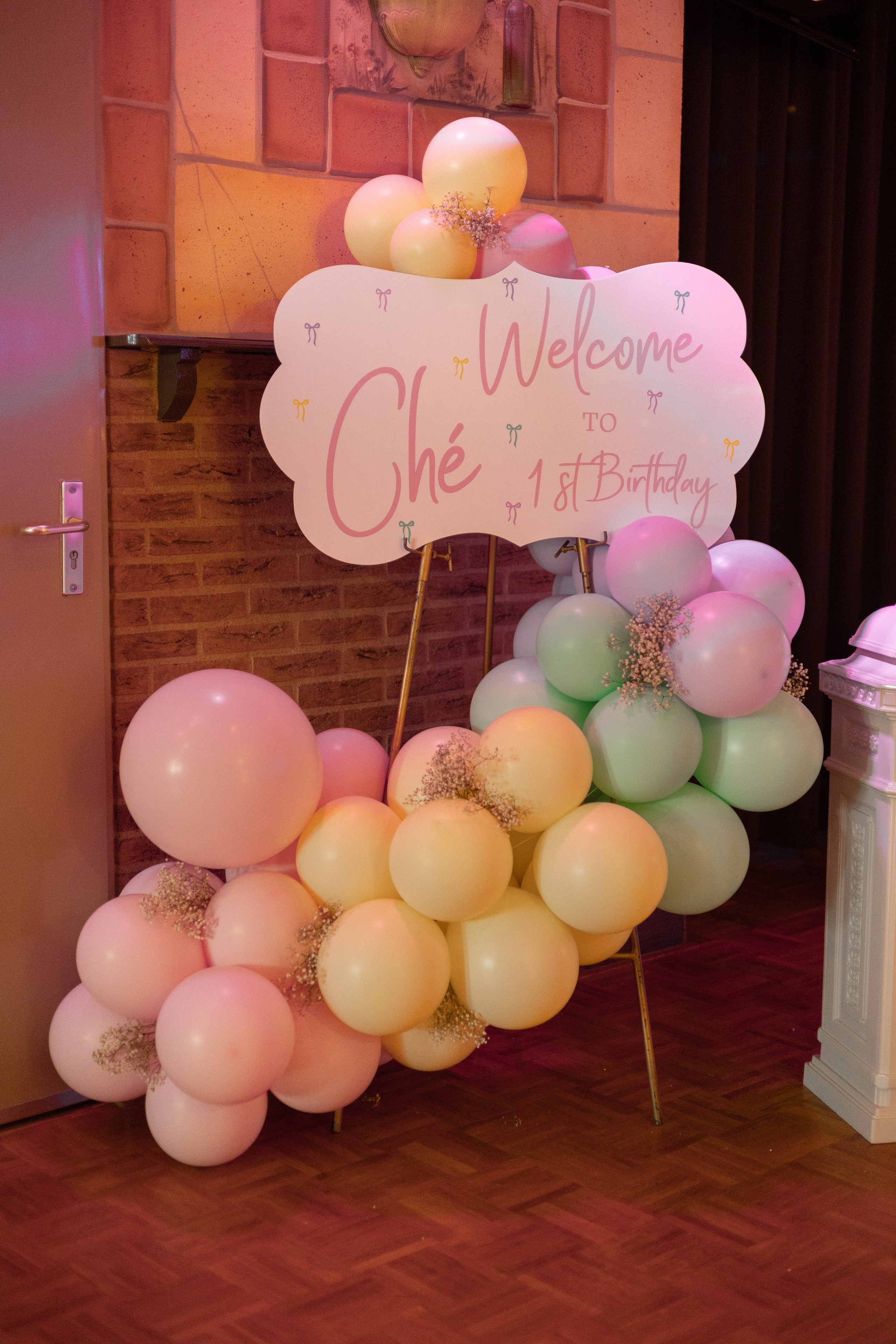 1 st Birthday. Portrait and Family Photographer in Netherlands