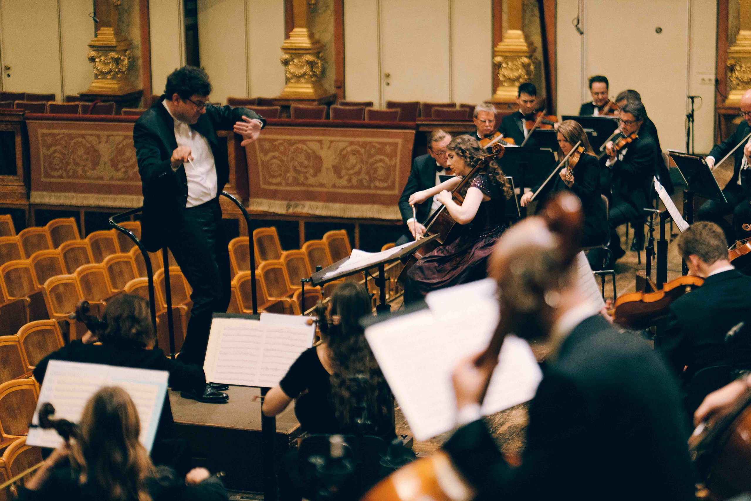 MUSIKVEREIN (VIENNA). Wedding&Event photographer Ismail Rzayev in Baku