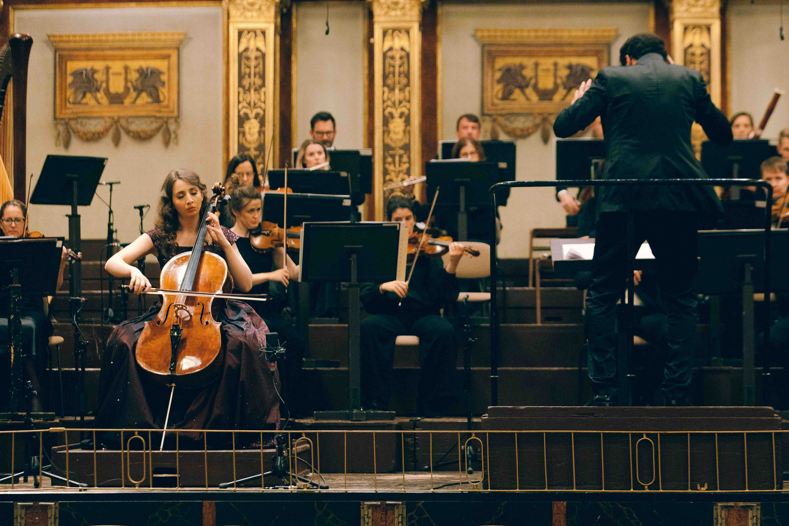 MUSIKVEREIN (VIENNA). Wedding&Event photographer Ismail Rzayev in Baku