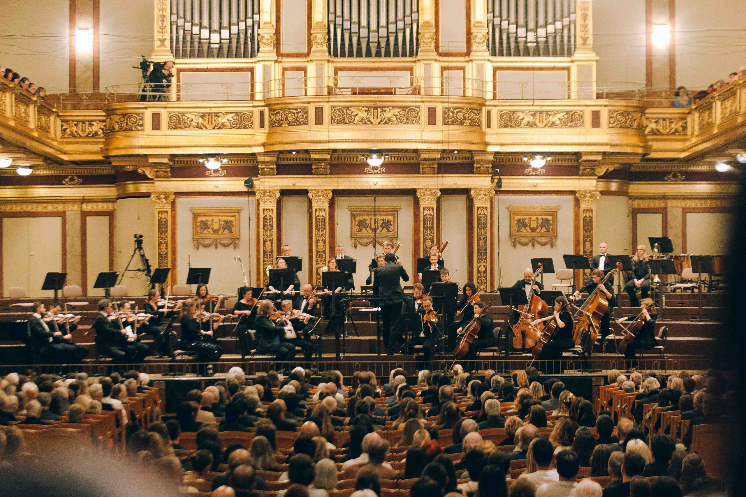 MUSIKVEREIN (VIENNA). Wedding&Event photographer Ismail Rzayev in Baku