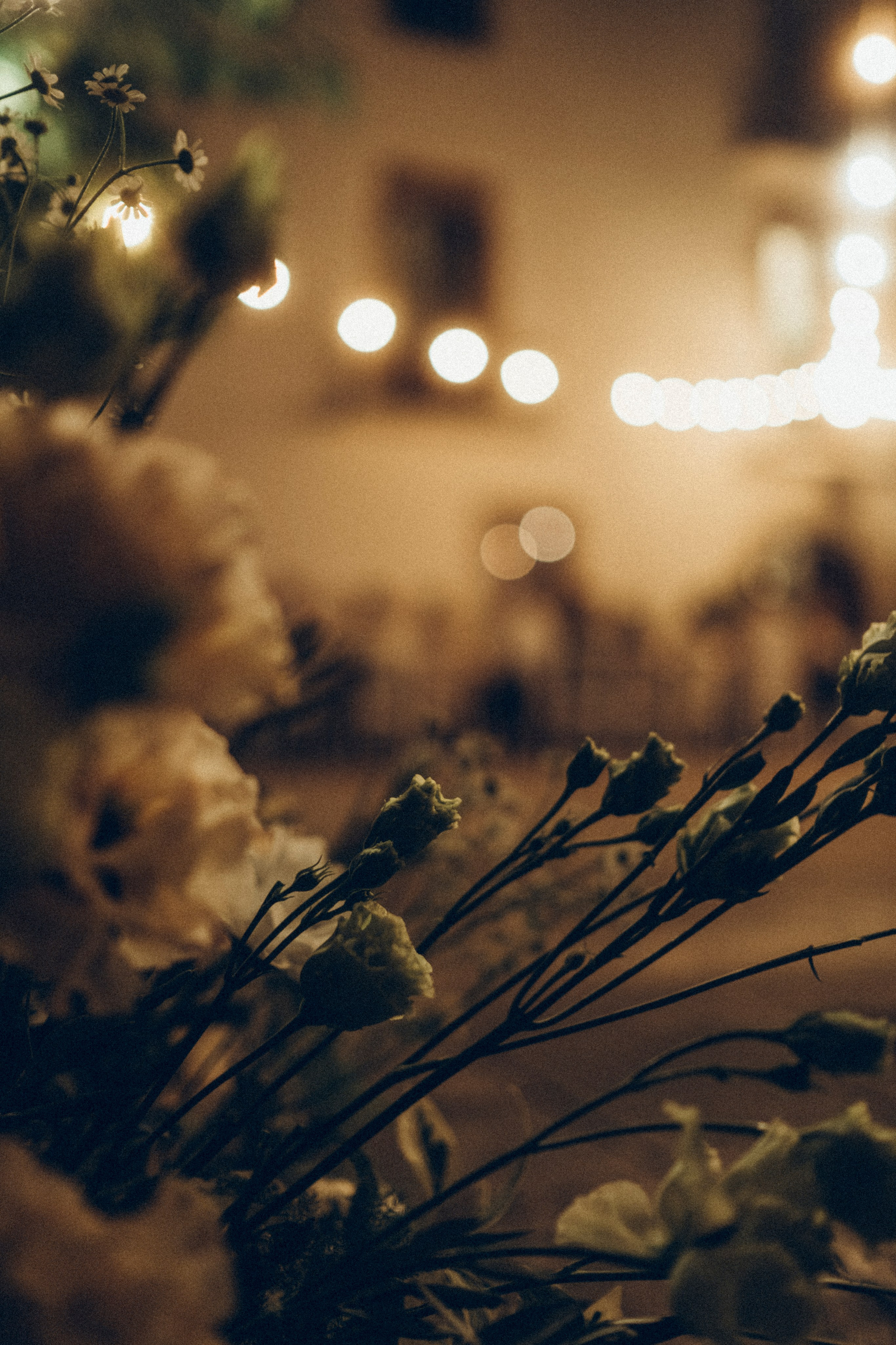 Nadezhda & Dmitry. Masia Mas Coll. Paola wedding photographer / videographer in Barcelona