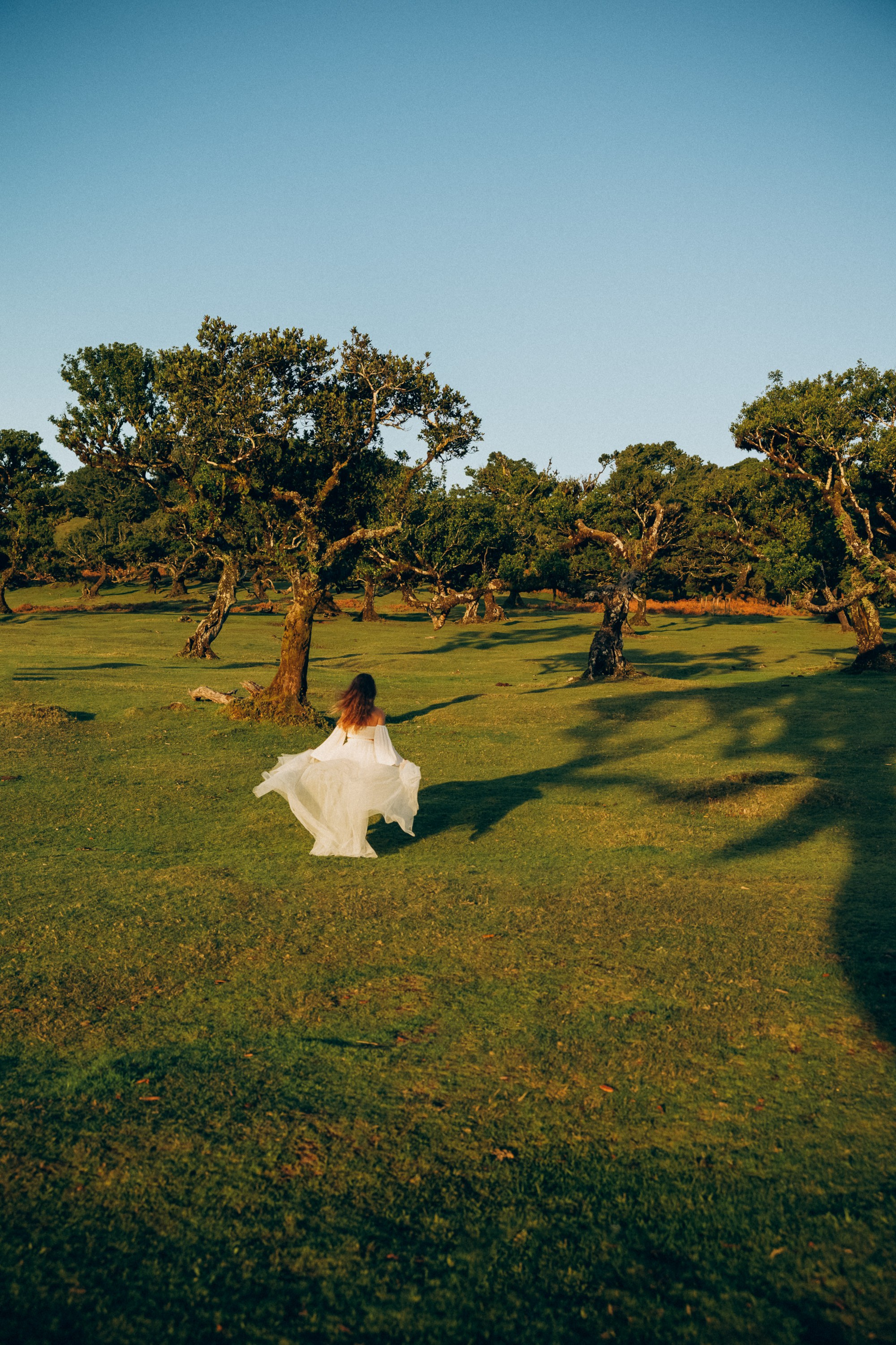 Unique drone shots and stunning natural backdrops