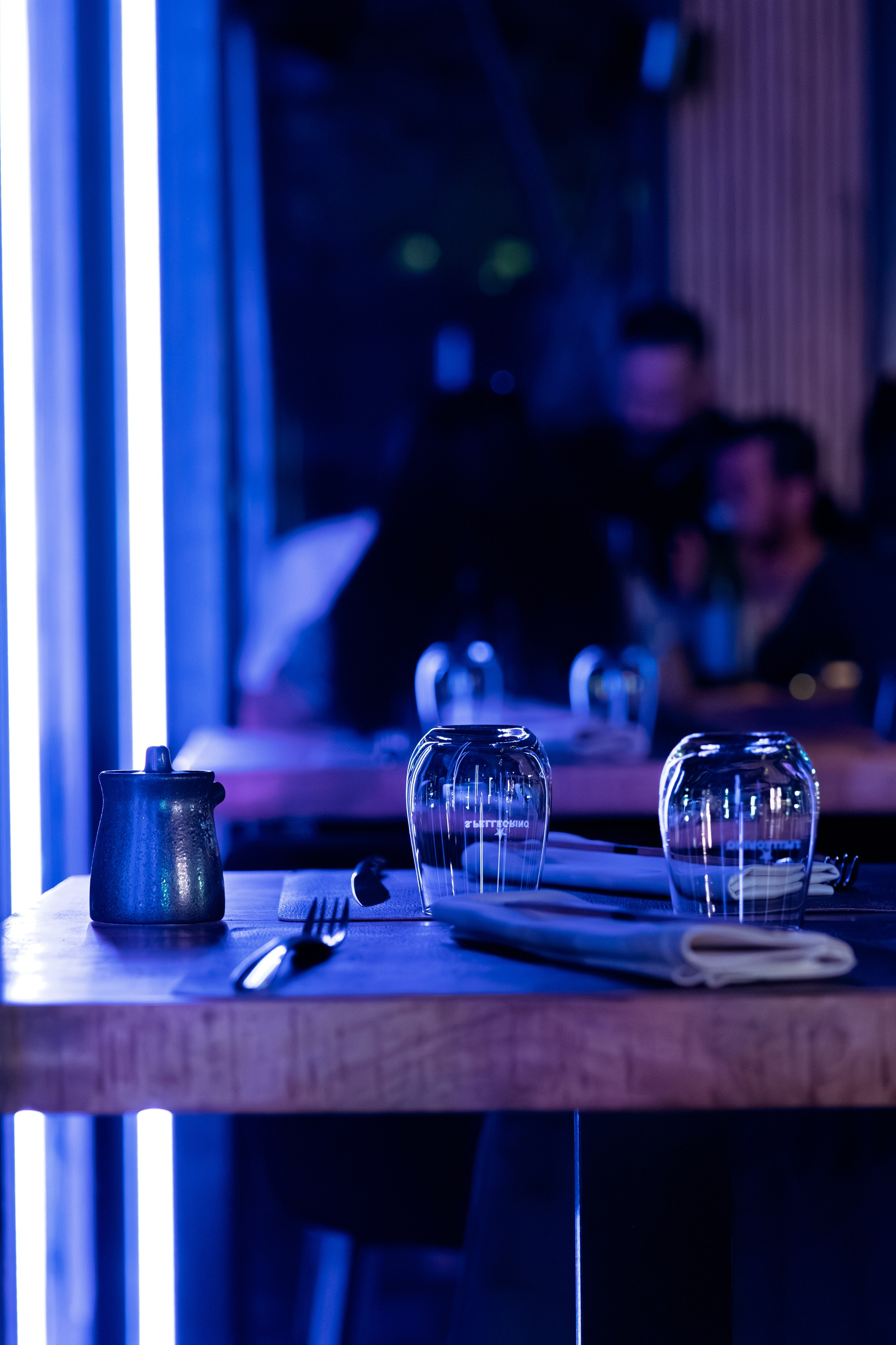 Ouverture du restaurant-club « Instinct  Amazonia » Sion. Photographe Suisse Tatiana Lyzhina