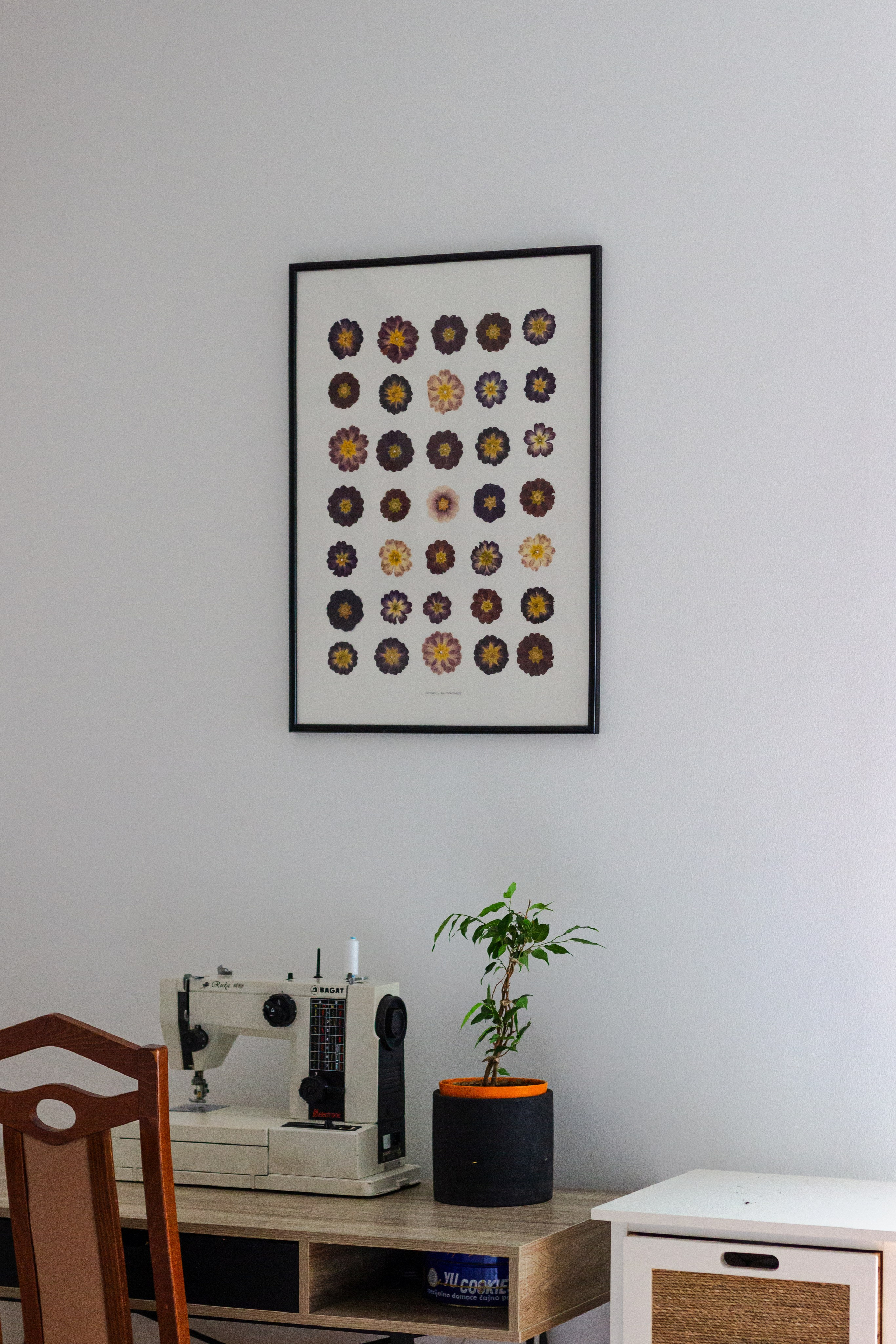 Portfolio. Herbarij studio