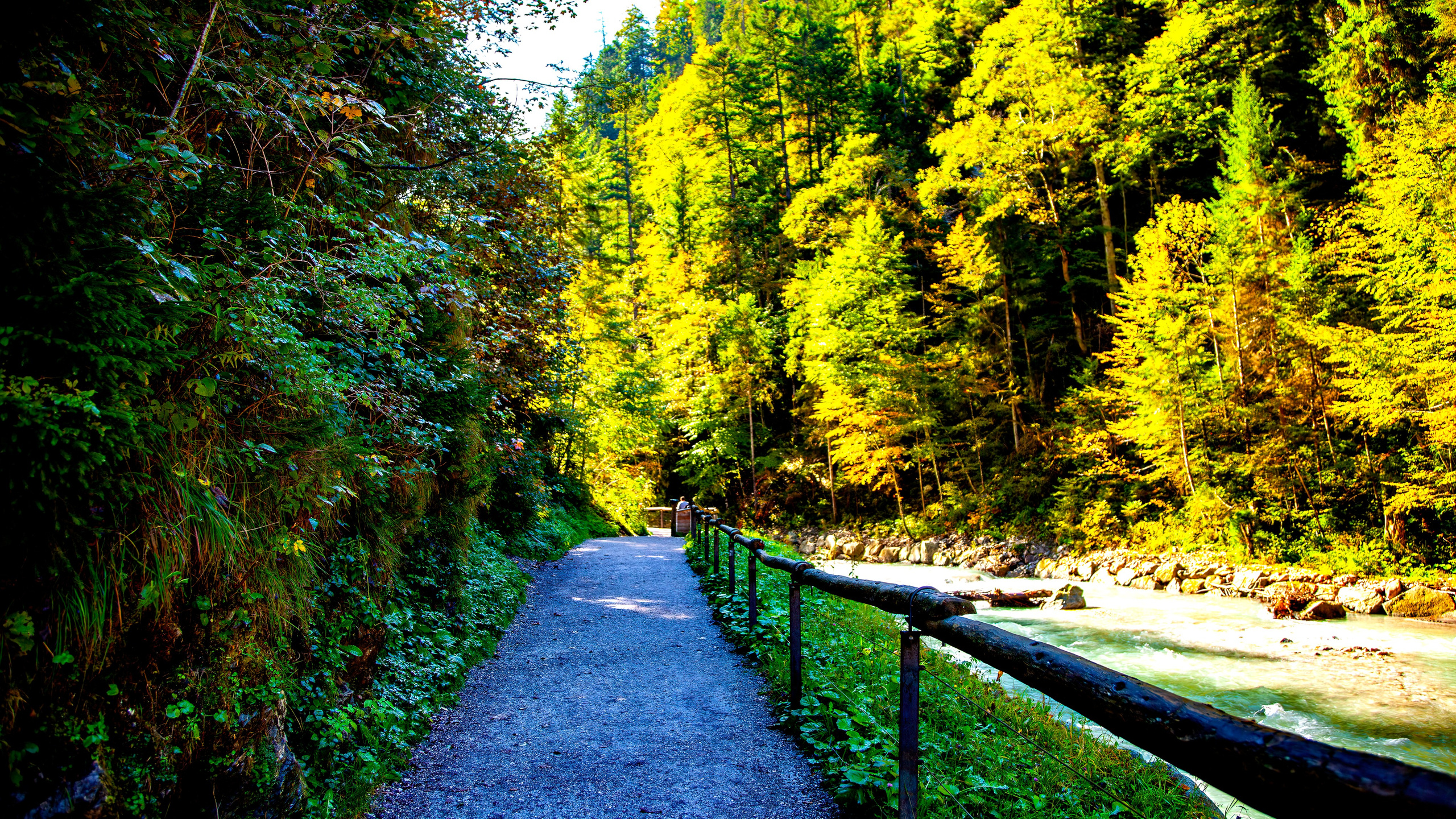 188.Partnachklamm Gorge.26.9.2024. Путешествия в формате 360......