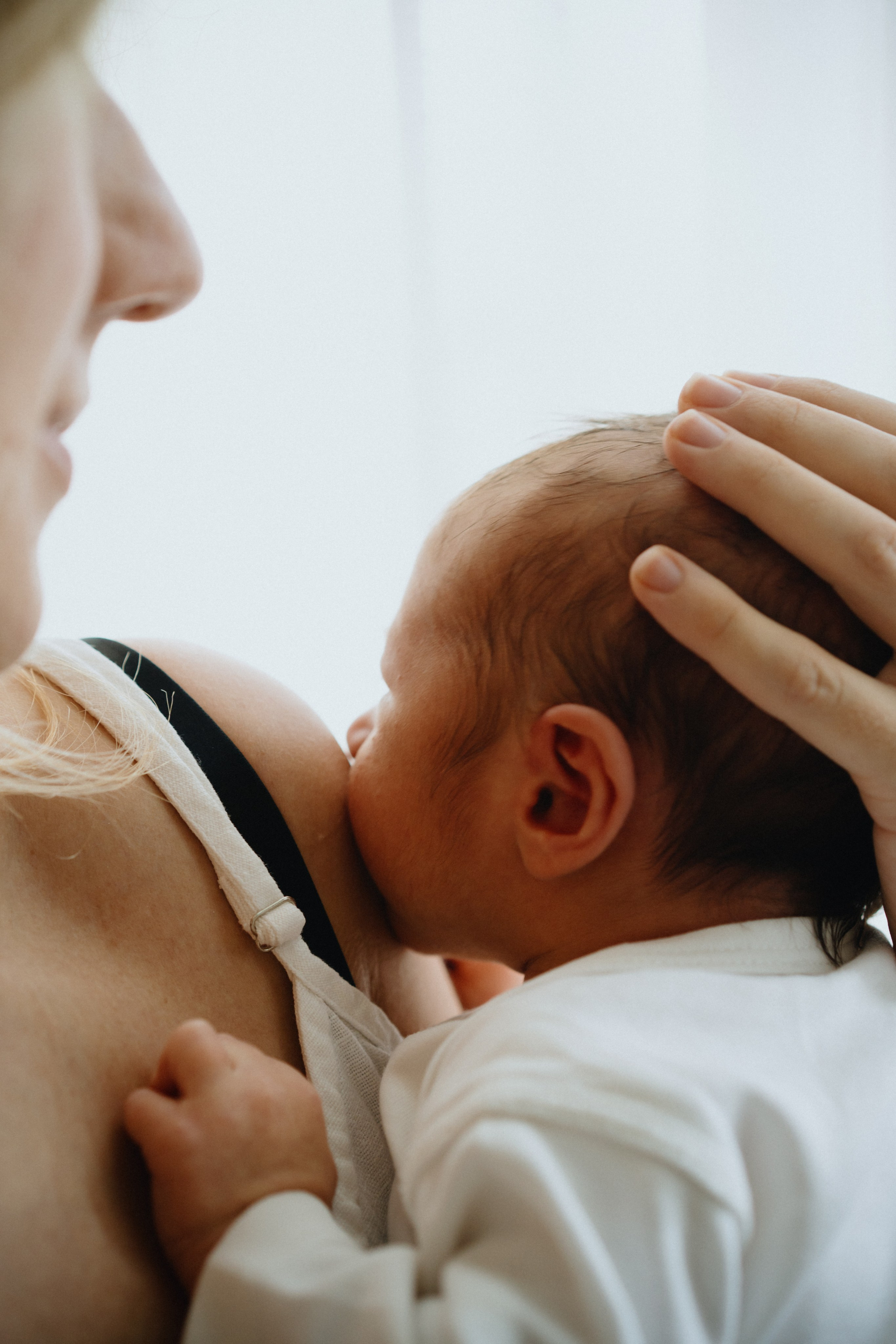 New Life. Elena Pretzner Photography