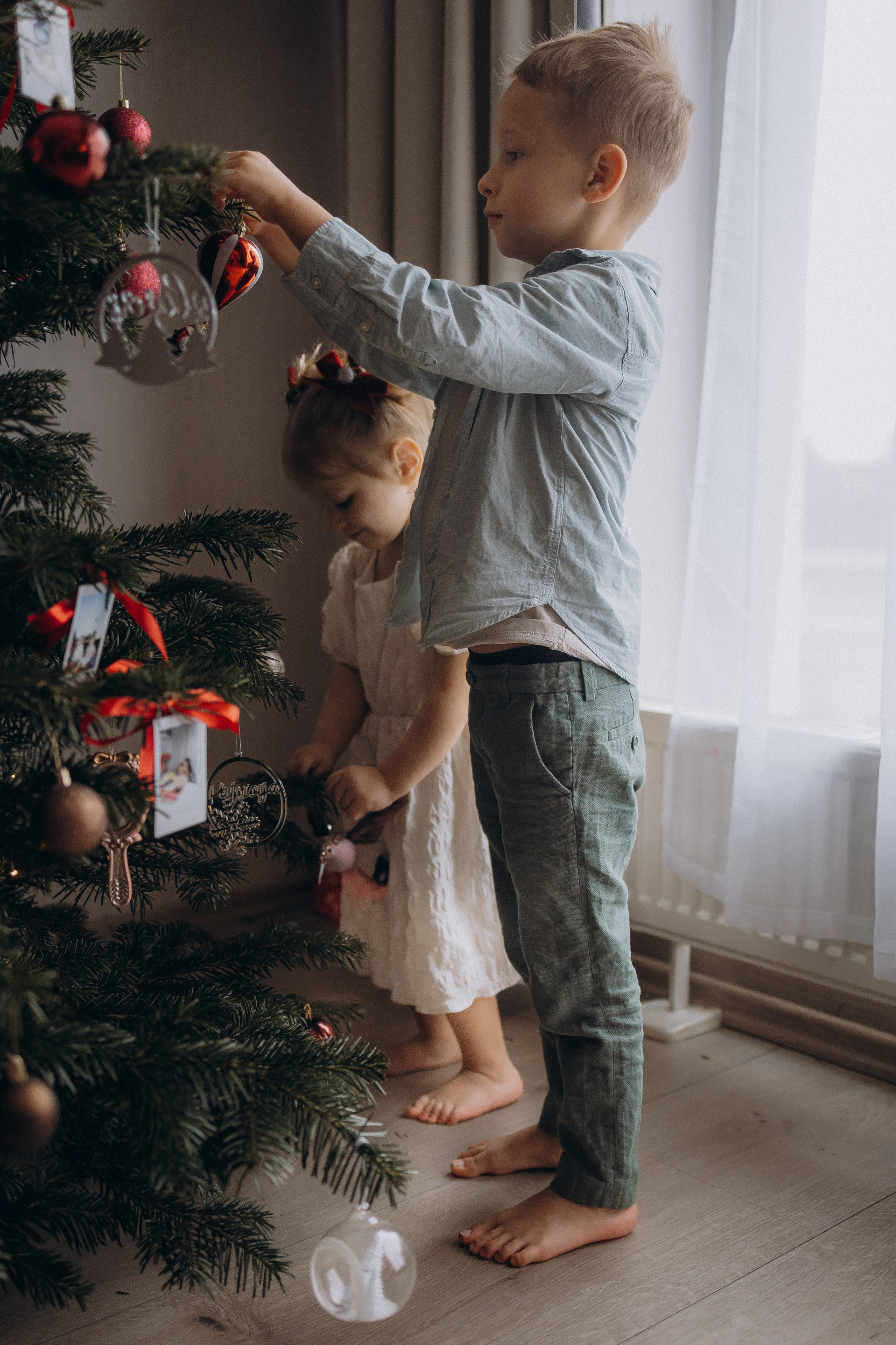 LANAS ģimene. GALVENĀ