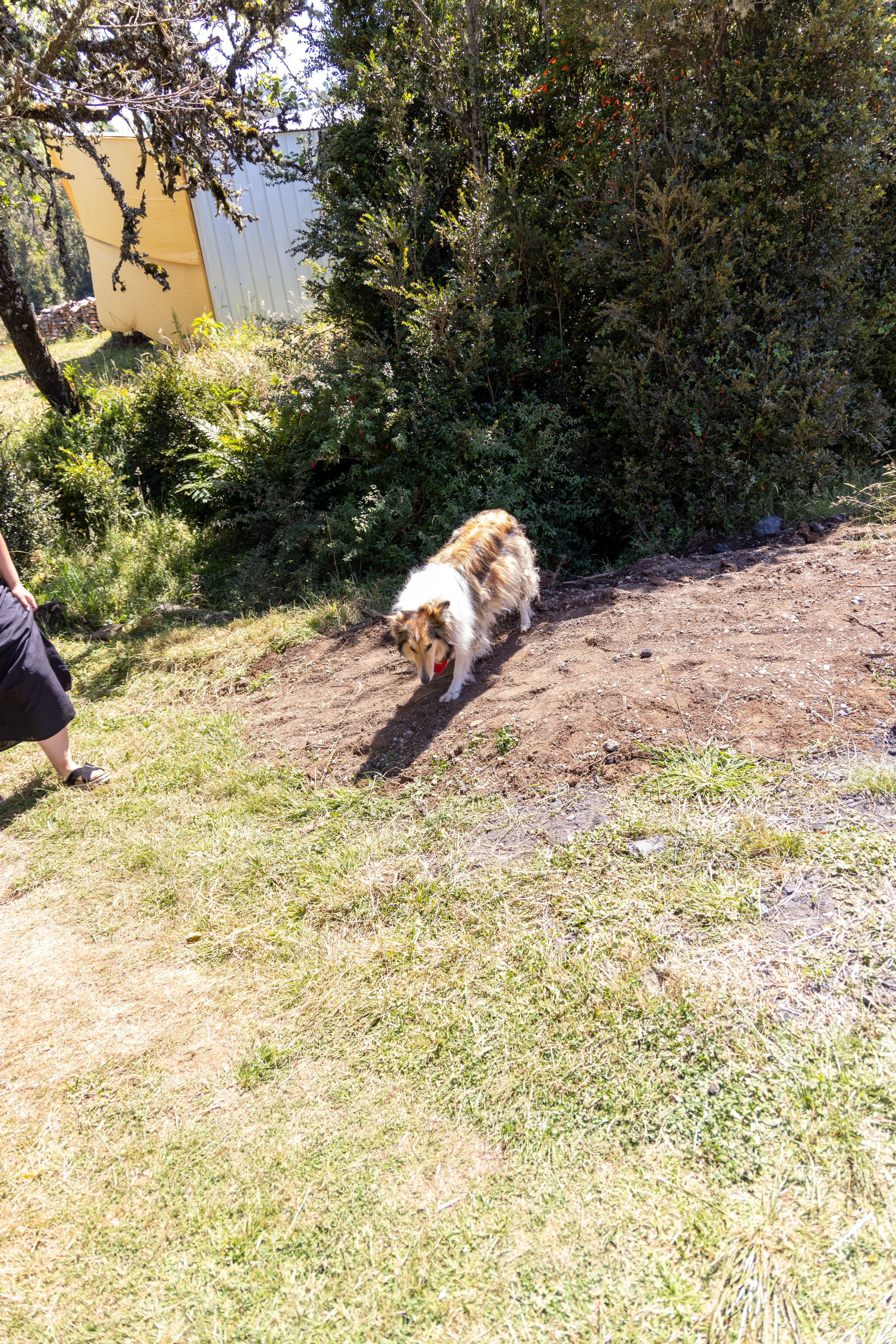 Maritza y Alen. Dinka & Emilio - El arte de preservar lo que no se repite