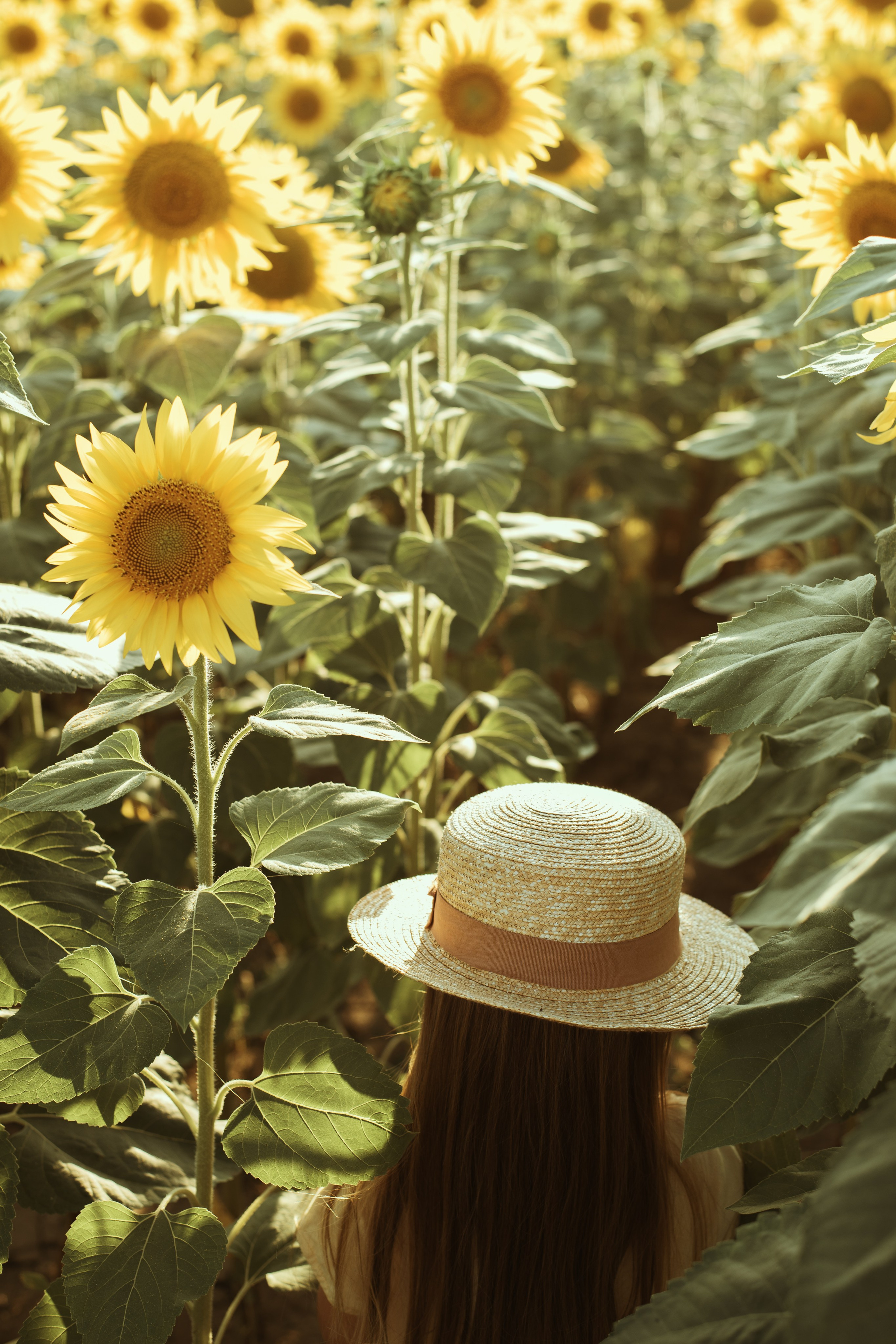 U prirodi. Wedding & Family photographer Jelena Anđelić