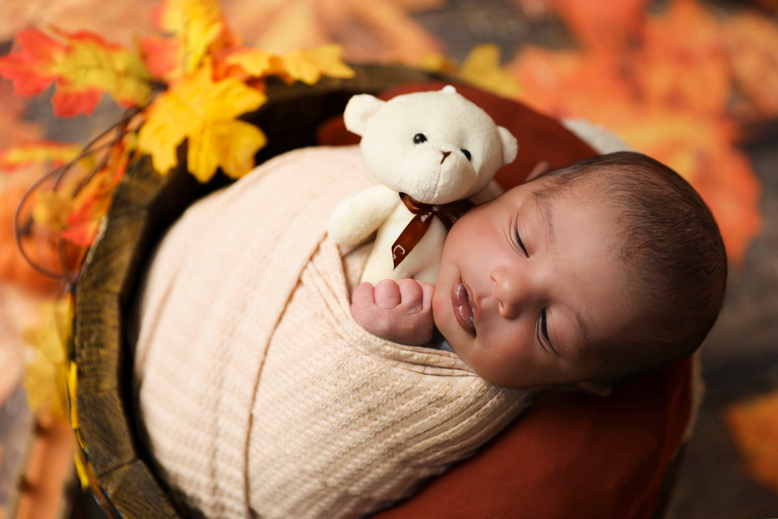 Fall and Halloween. AP Lens Photography | Newborn, Maternity, Milestone & Family Photographer Little Elm TX