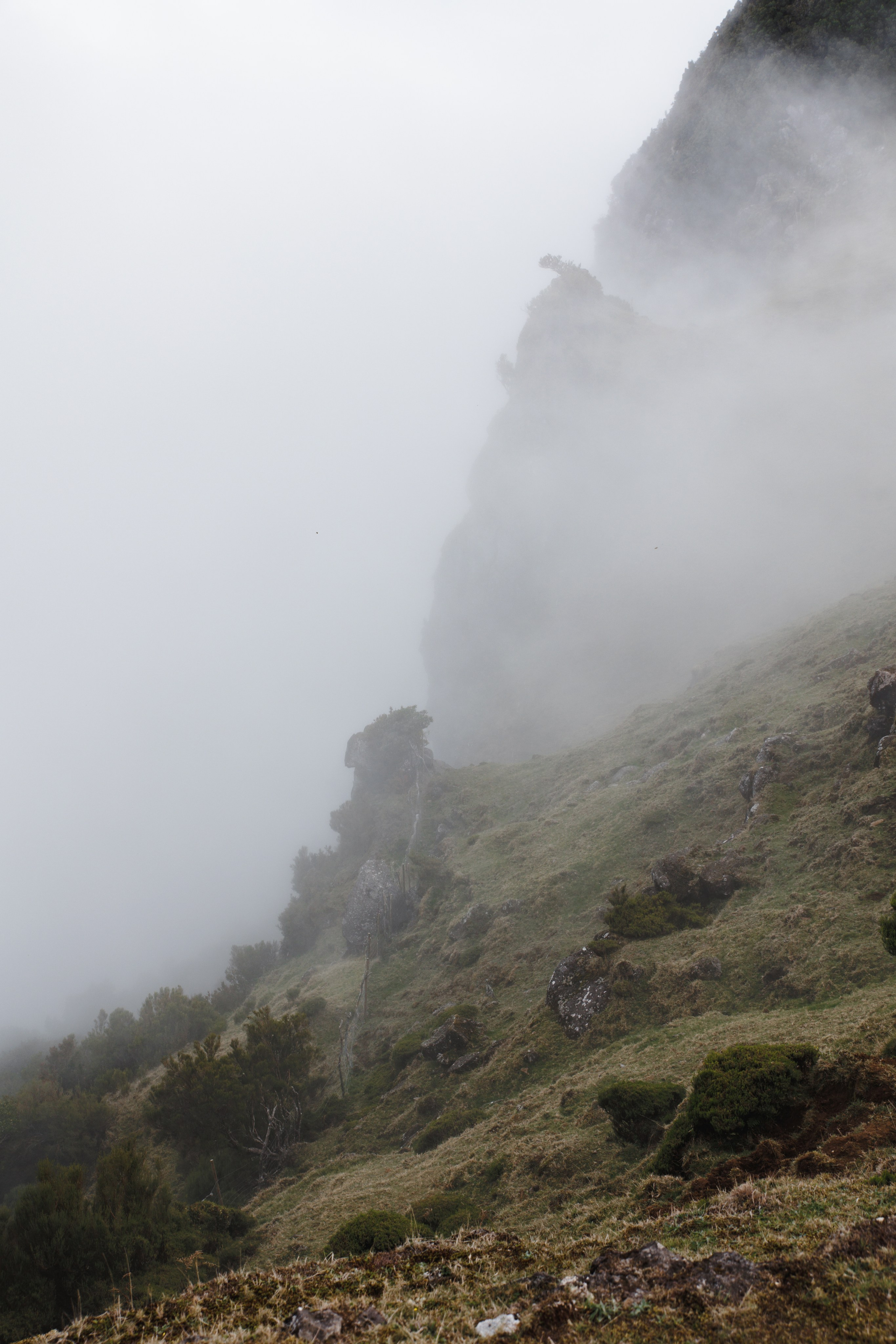 Lost in Madeira. Patricia Morenci — Mountain Adventures for the Wild at Heart