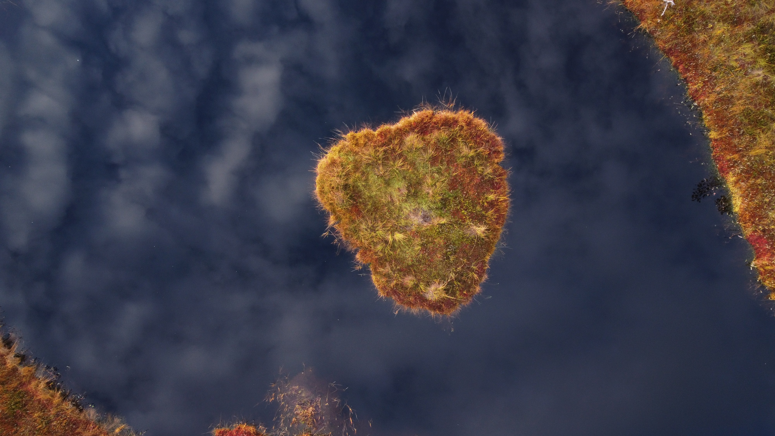 Nature. Vitalii Krepak — Gonzo Fotografie