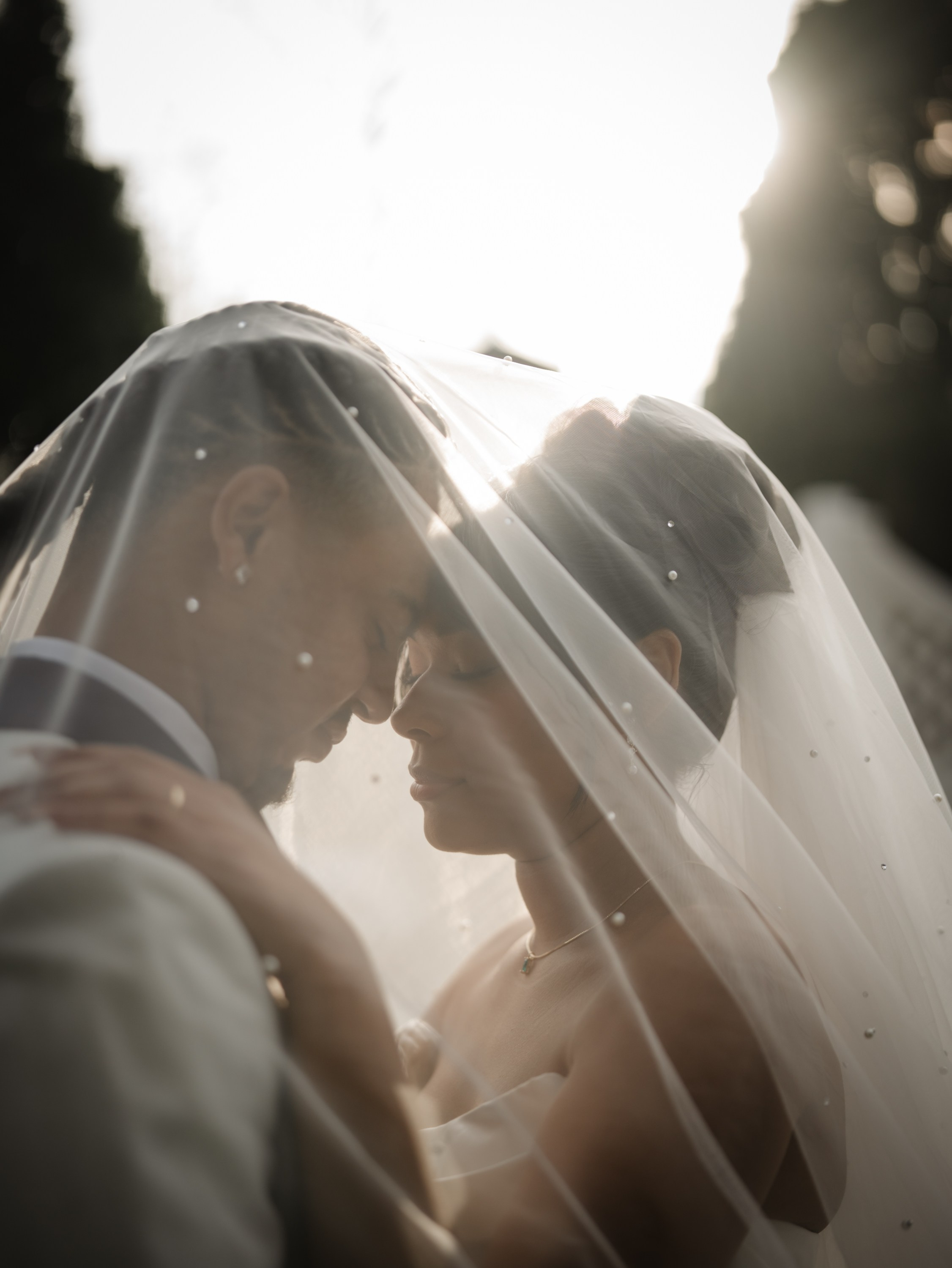 Julio and Tiana’s wedding. Woodbury, NY. Portrait and wedding photographer in New York