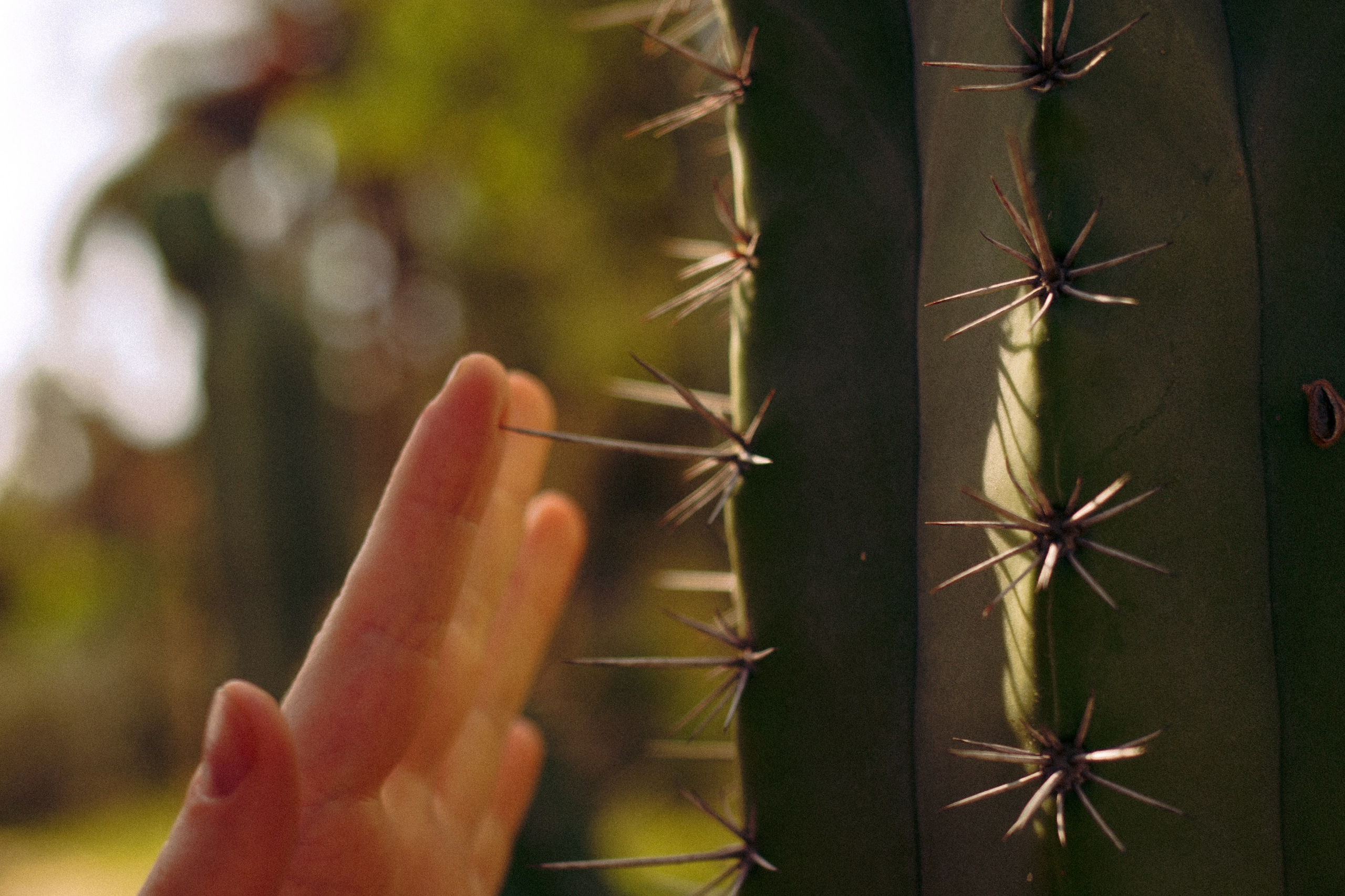 An artistic girl in nature. Marina Kálcheva — Photographer, Videographer & Visual Artist in Barcelona