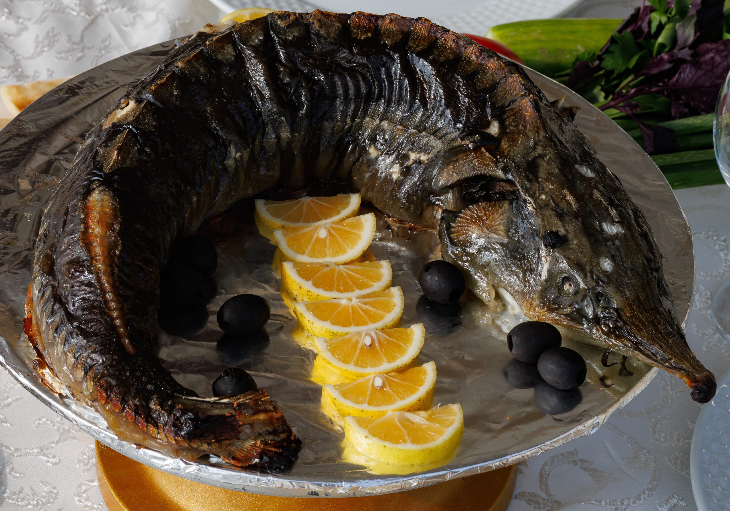 Wedding photographer Batumi Tbilisi Georgia