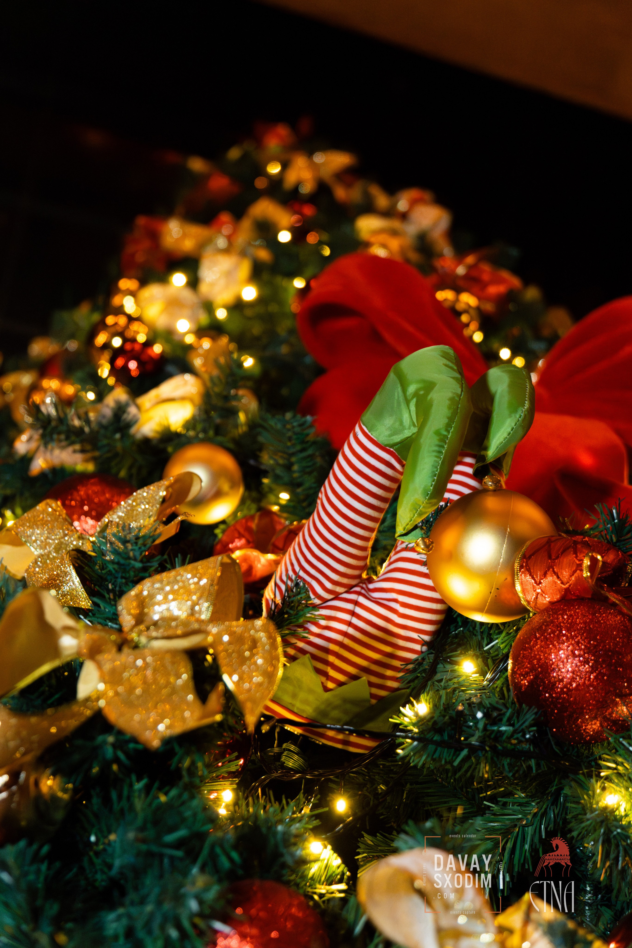 Новогодняя вечеринка | Фоторепортаж | Афиша | DAVAYSXODIM.com PHUKET. АФИША|ФОТОРЕПОРТАЖИ|ИВЕНТЫ|ПХУКЕТ