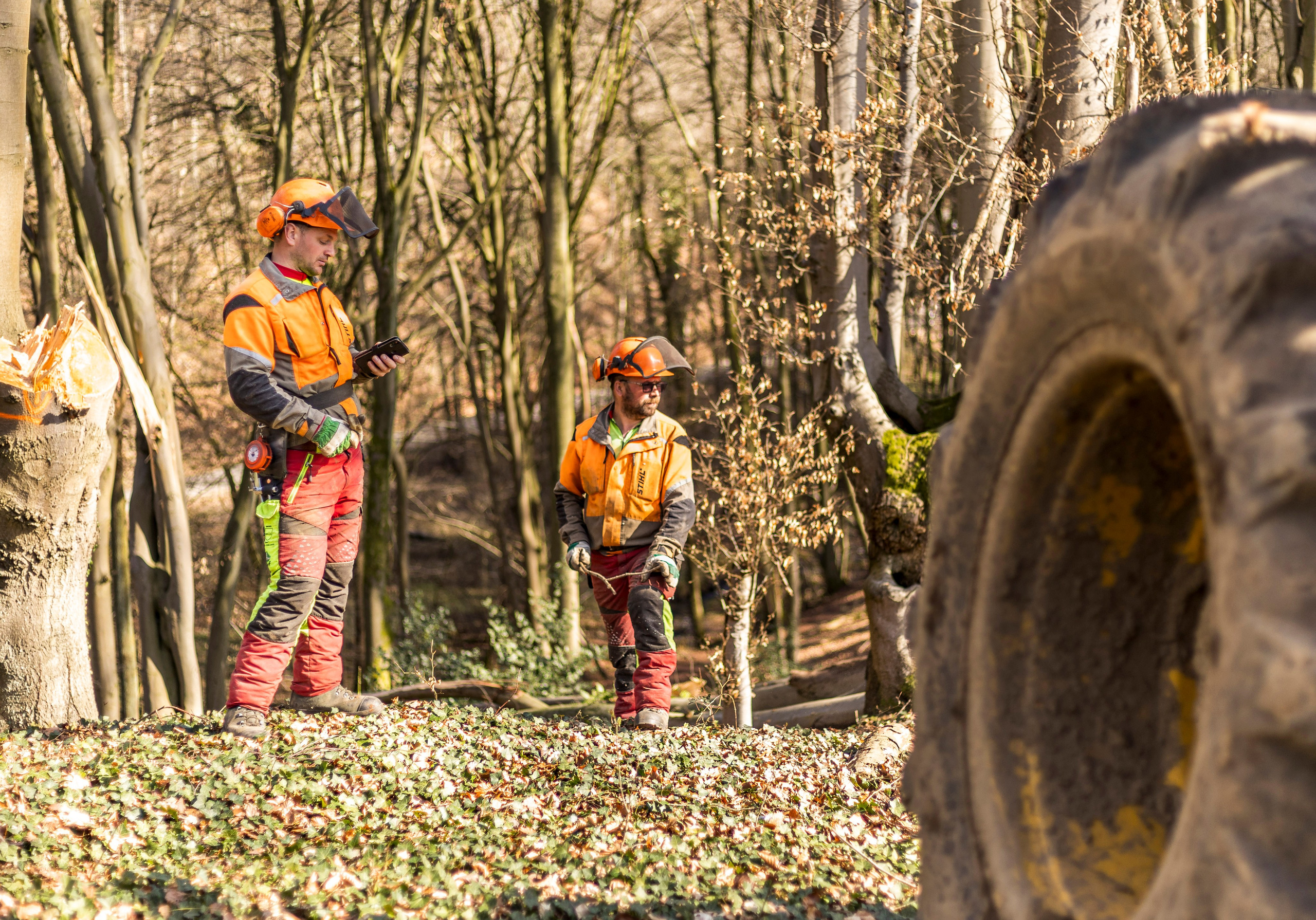 Reportaje foto – Fotograf în Solingen