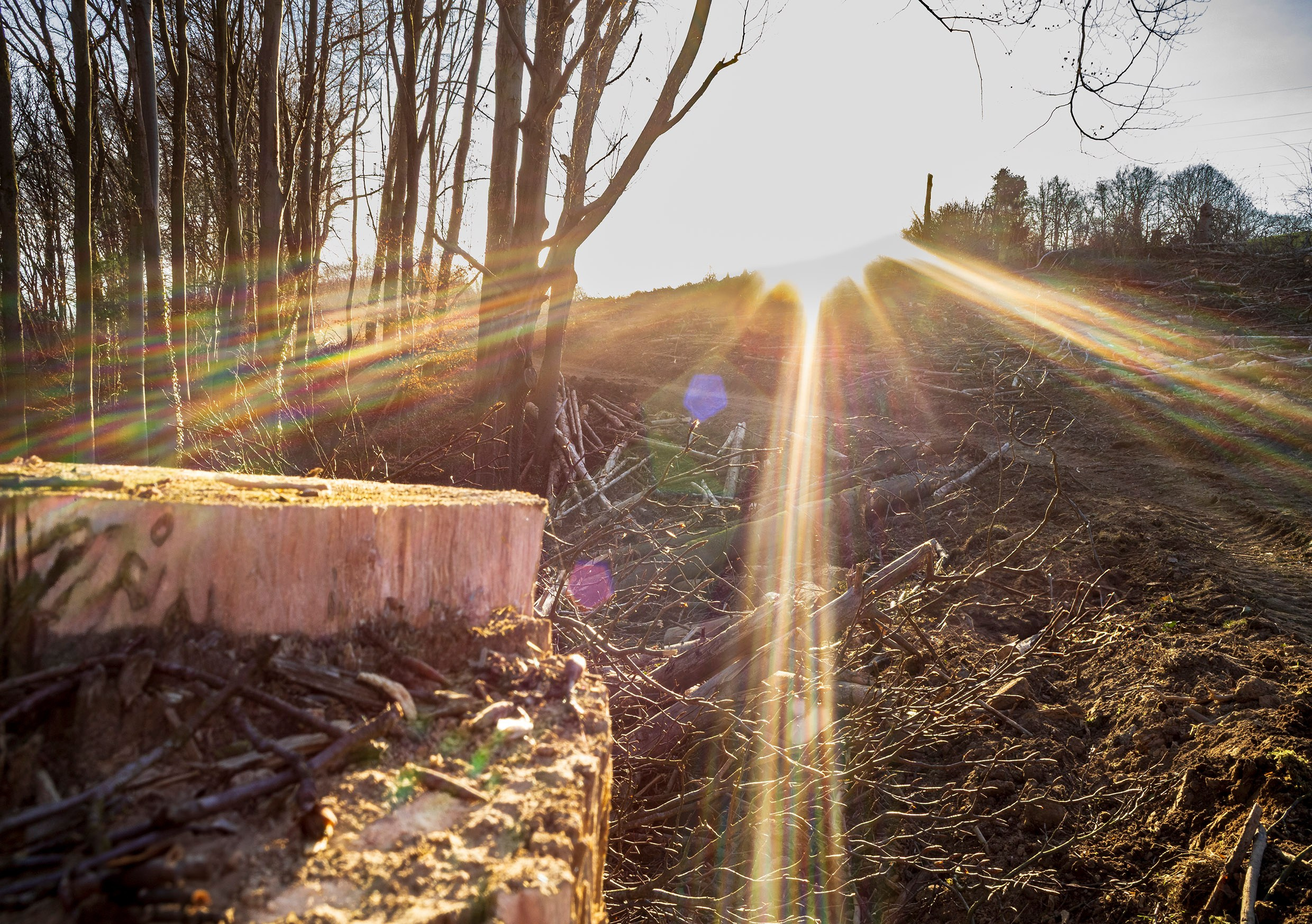 Reportaje foto – Fotograf în Solingen