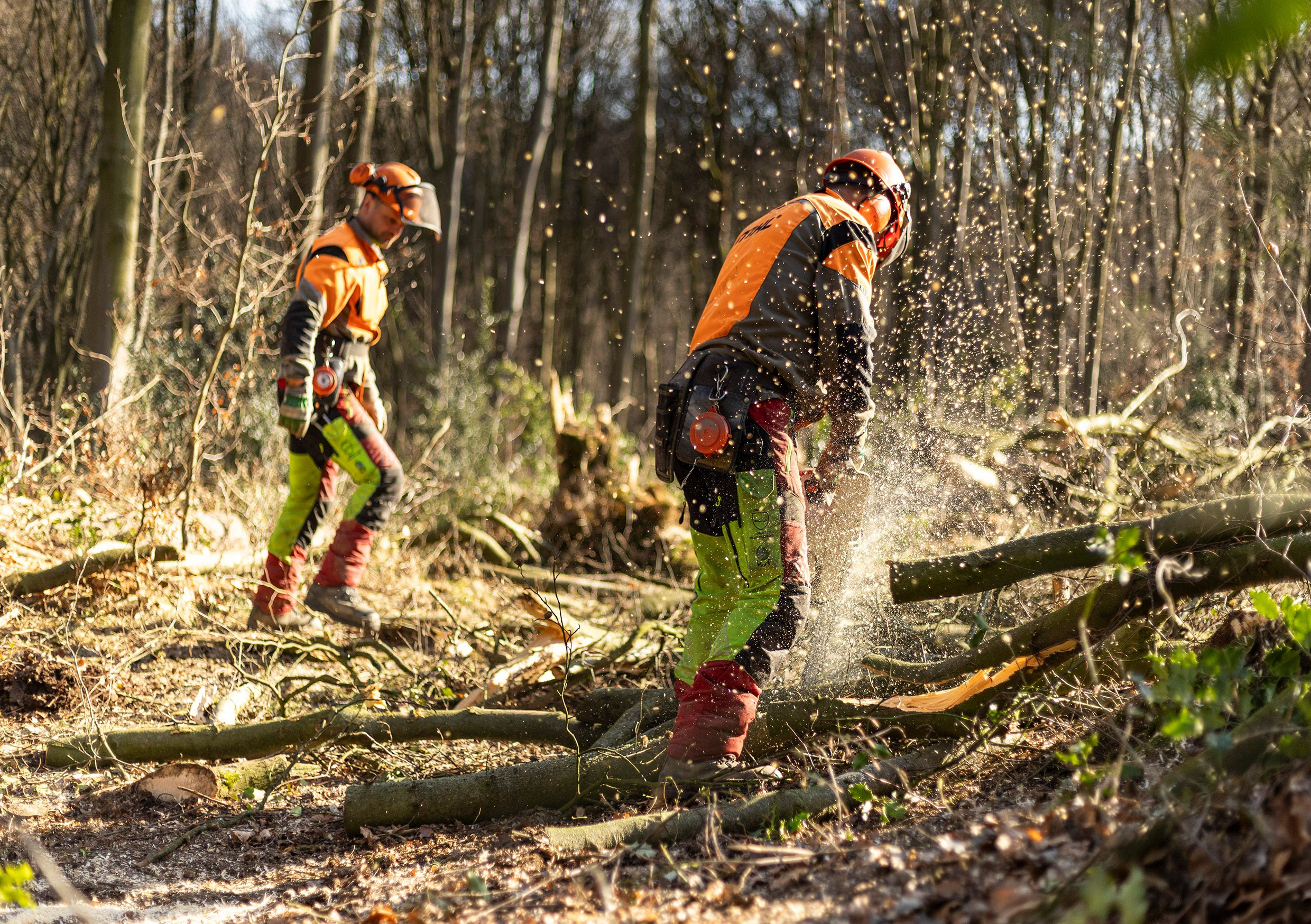 Reportaje foto – Fotograf în Solingen