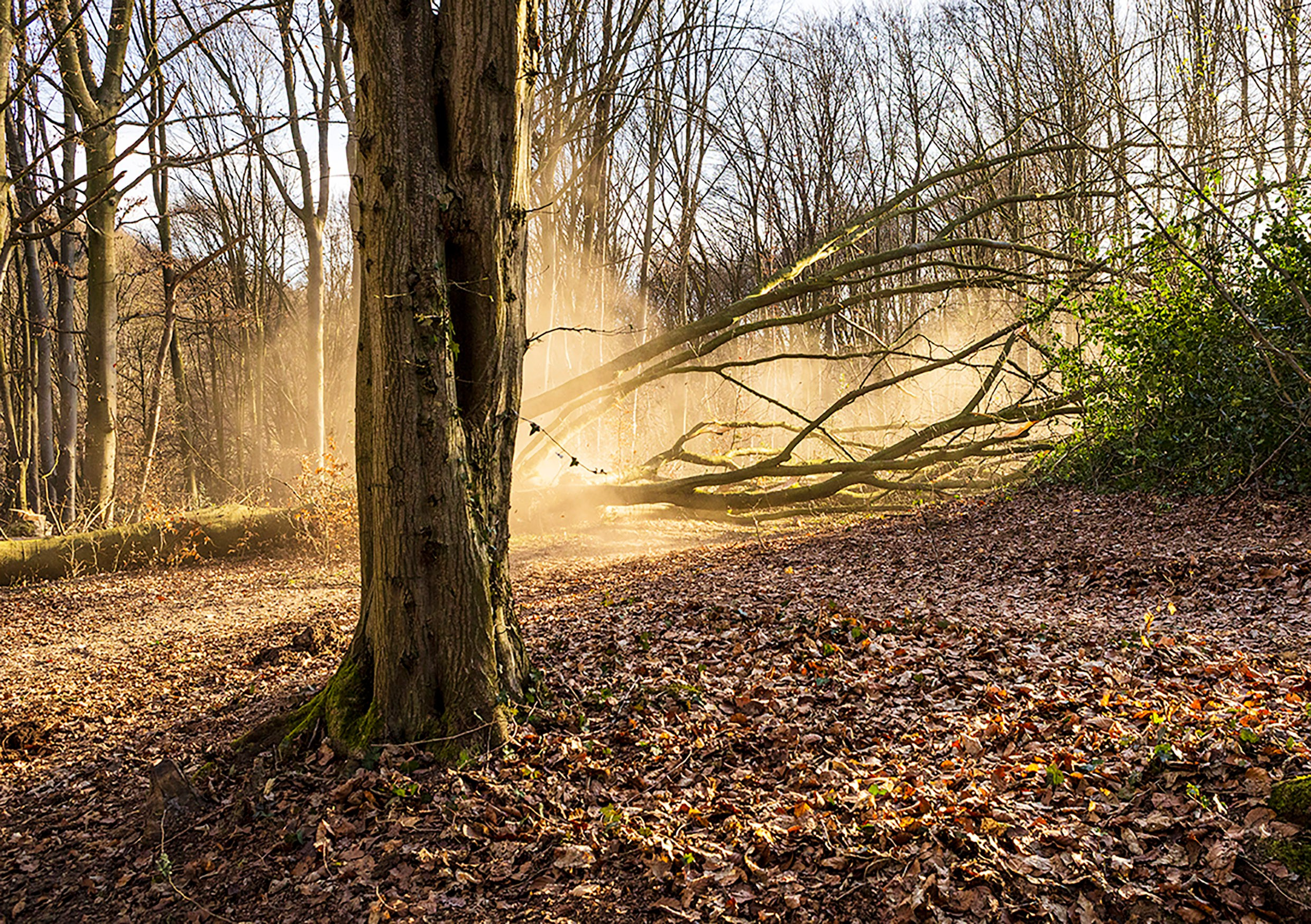 Reportaje foto – Fotograf în Solingen