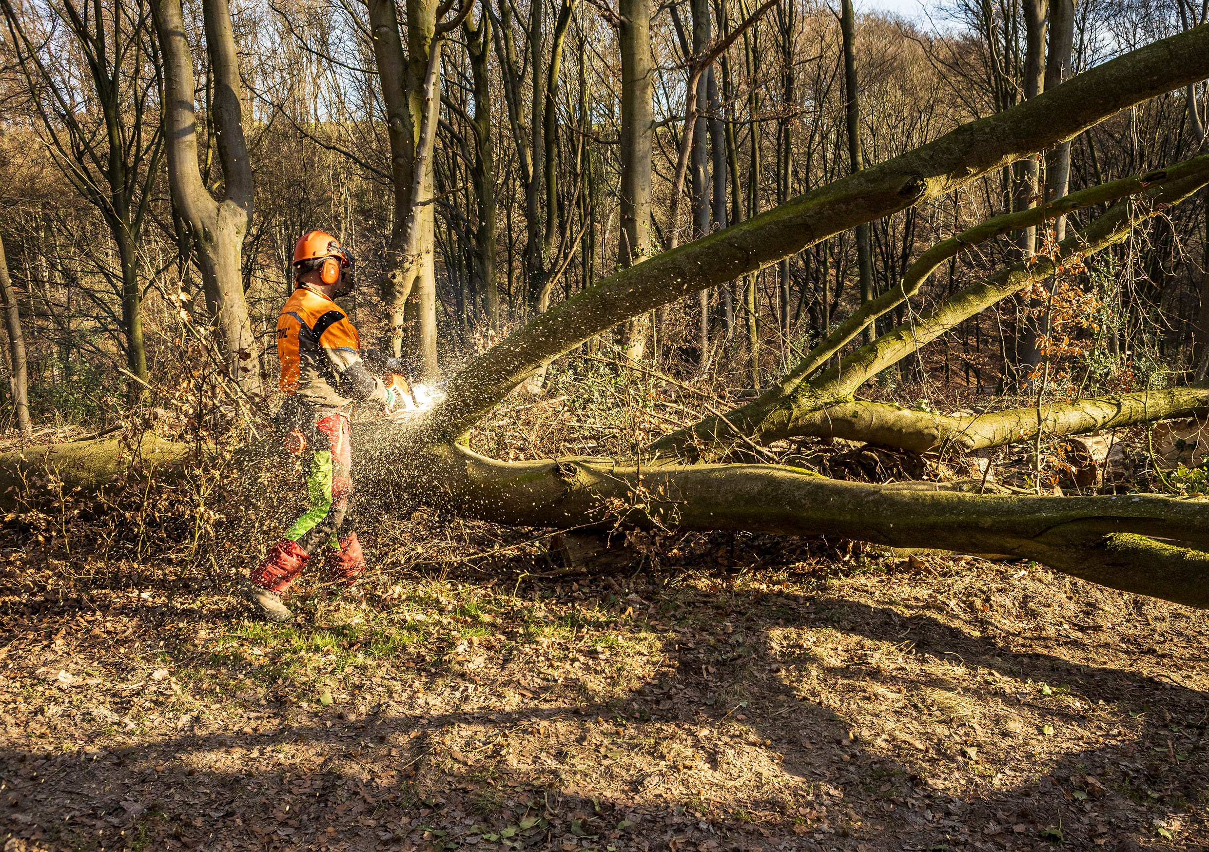 Reportaje foto – Fotograf în Solingen