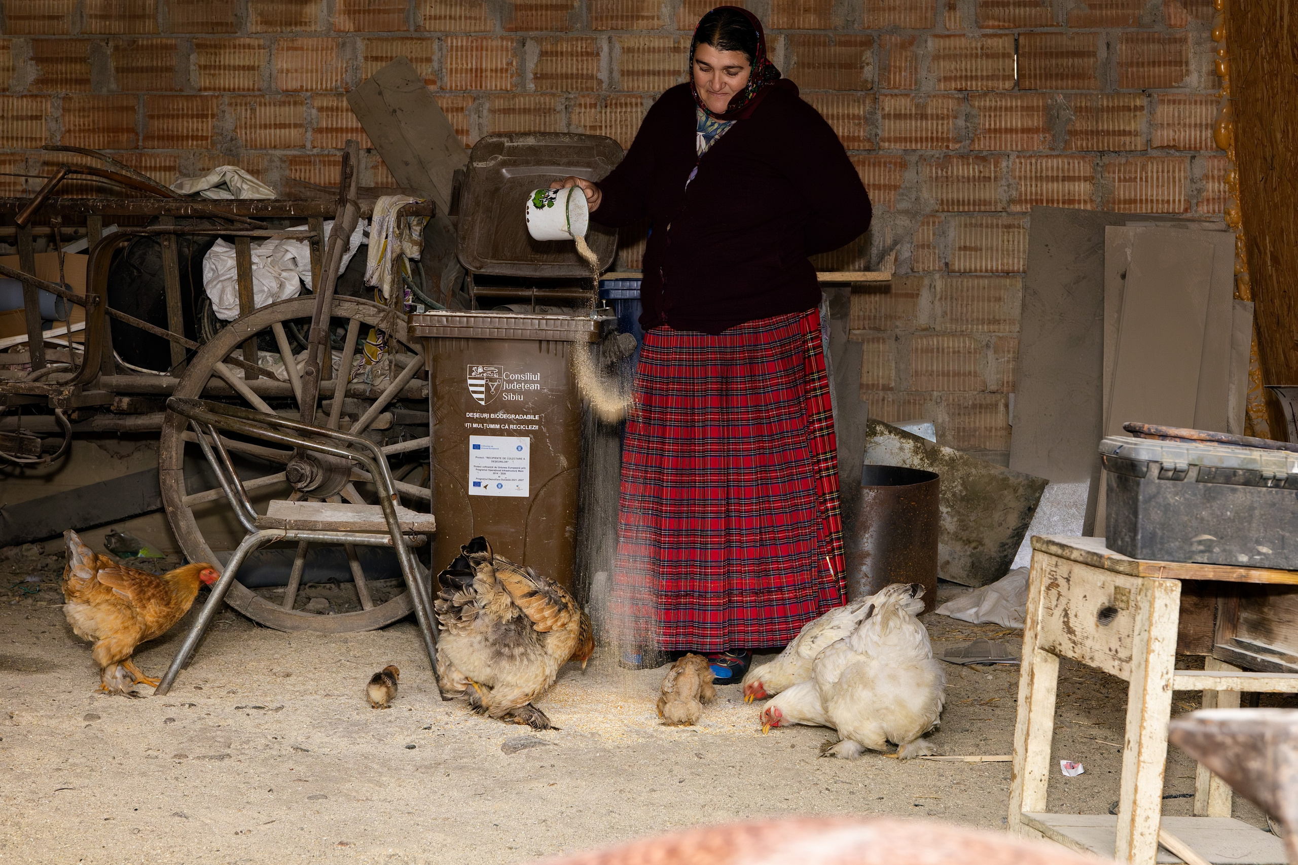 Între două lumi - între origine și influență. Fotograf Mariana Roth
