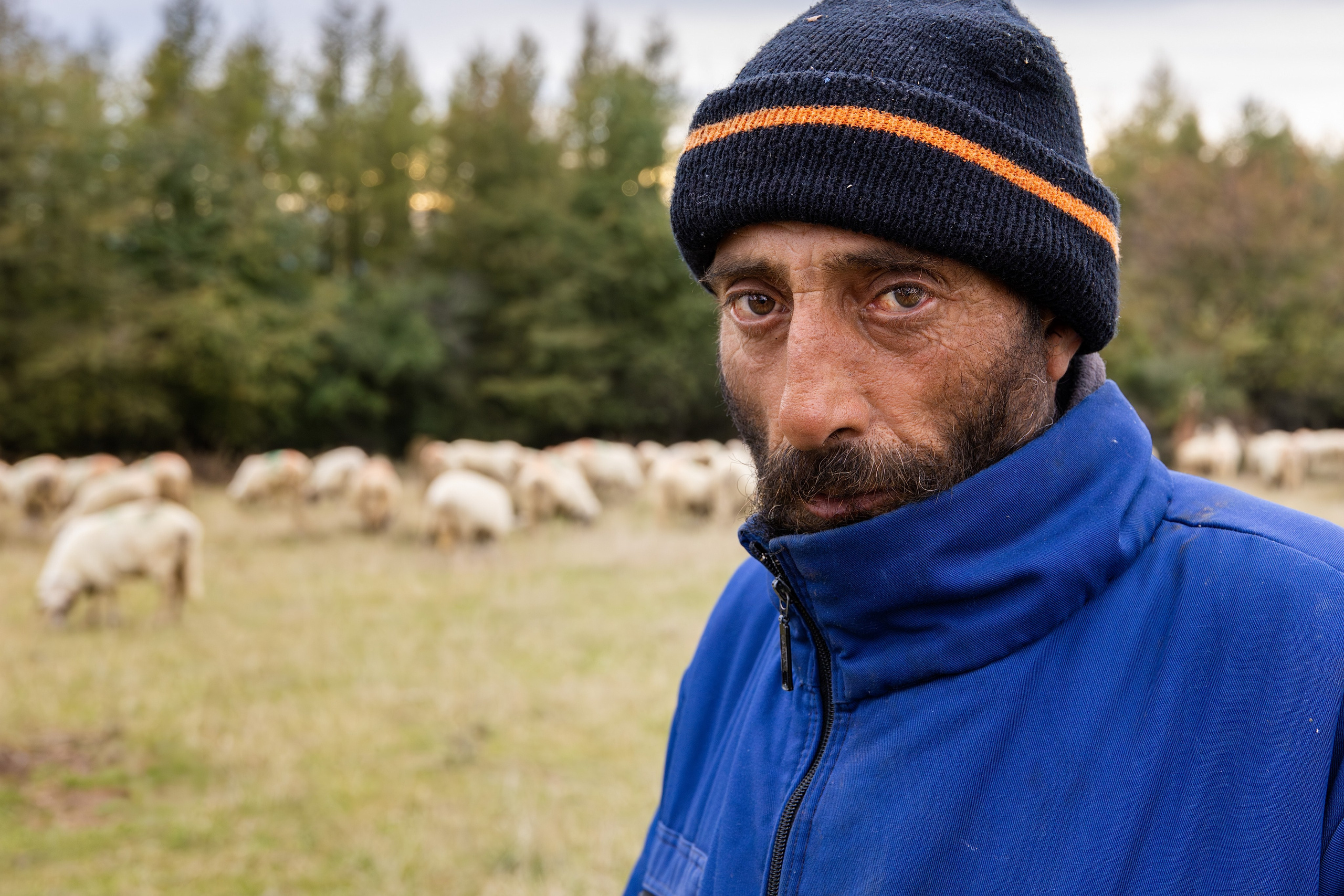 Între două lumi - între origine și influență. Fotograf Mariana Roth
