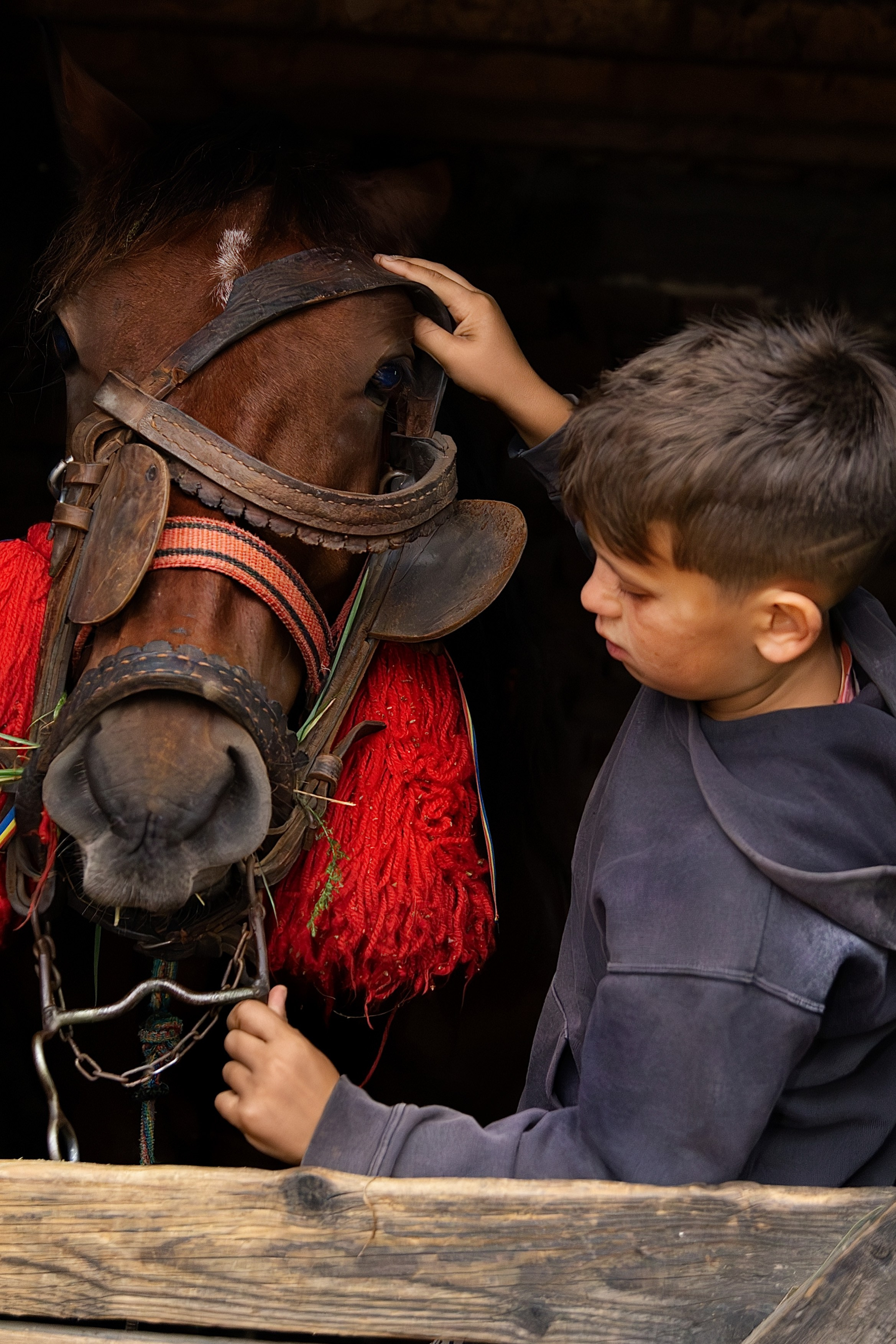 Între două lumi - între origine și influență. Fotograf Mariana Roth